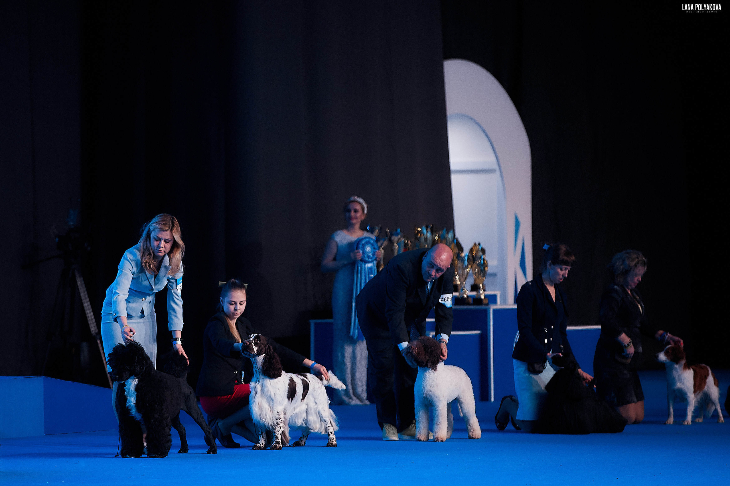 Съемки на выставке. ЕВРАЗИЯ 2019, 2 x CACIB
МВЦ КРОКУС ЭКСПО