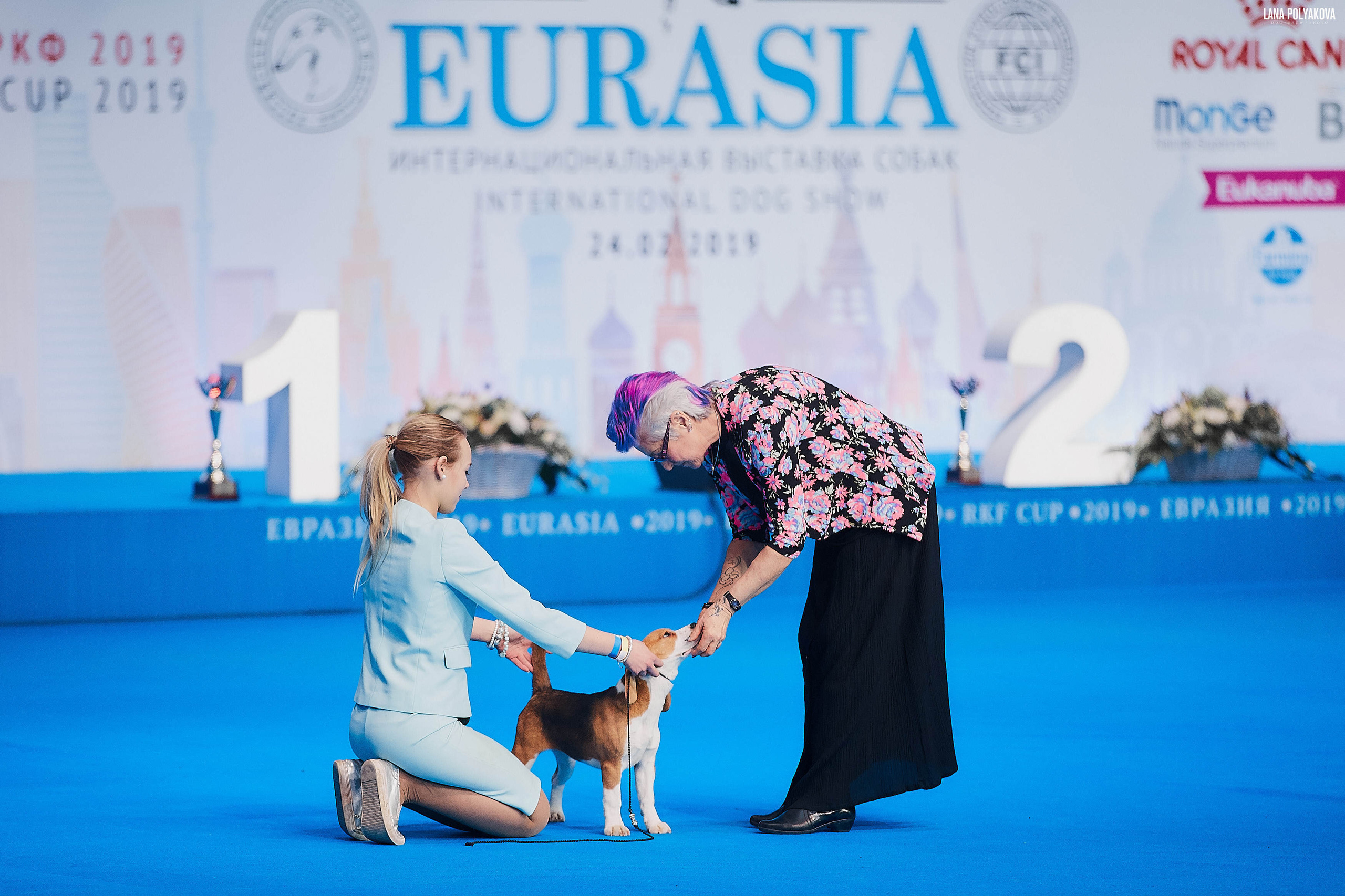 Съемки на выставке. ЕВРАЗИЯ 2019, 2 x CACIB
МВЦ КРОКУС ЭКСПО