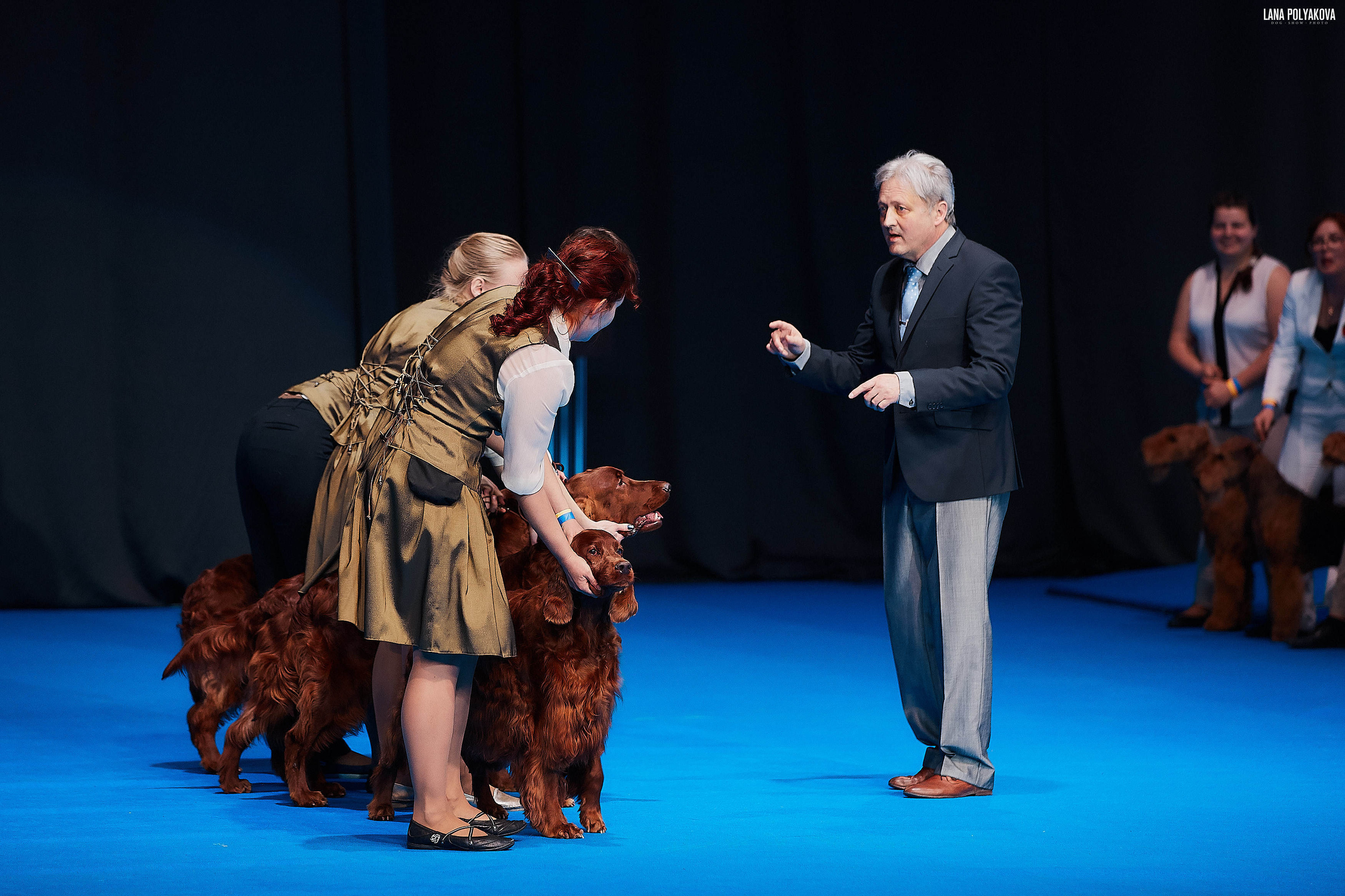 Съемки на выставке. ЕВРАЗИЯ 2019, 2 x CACIB
МВЦ КРОКУС ЭКСПО