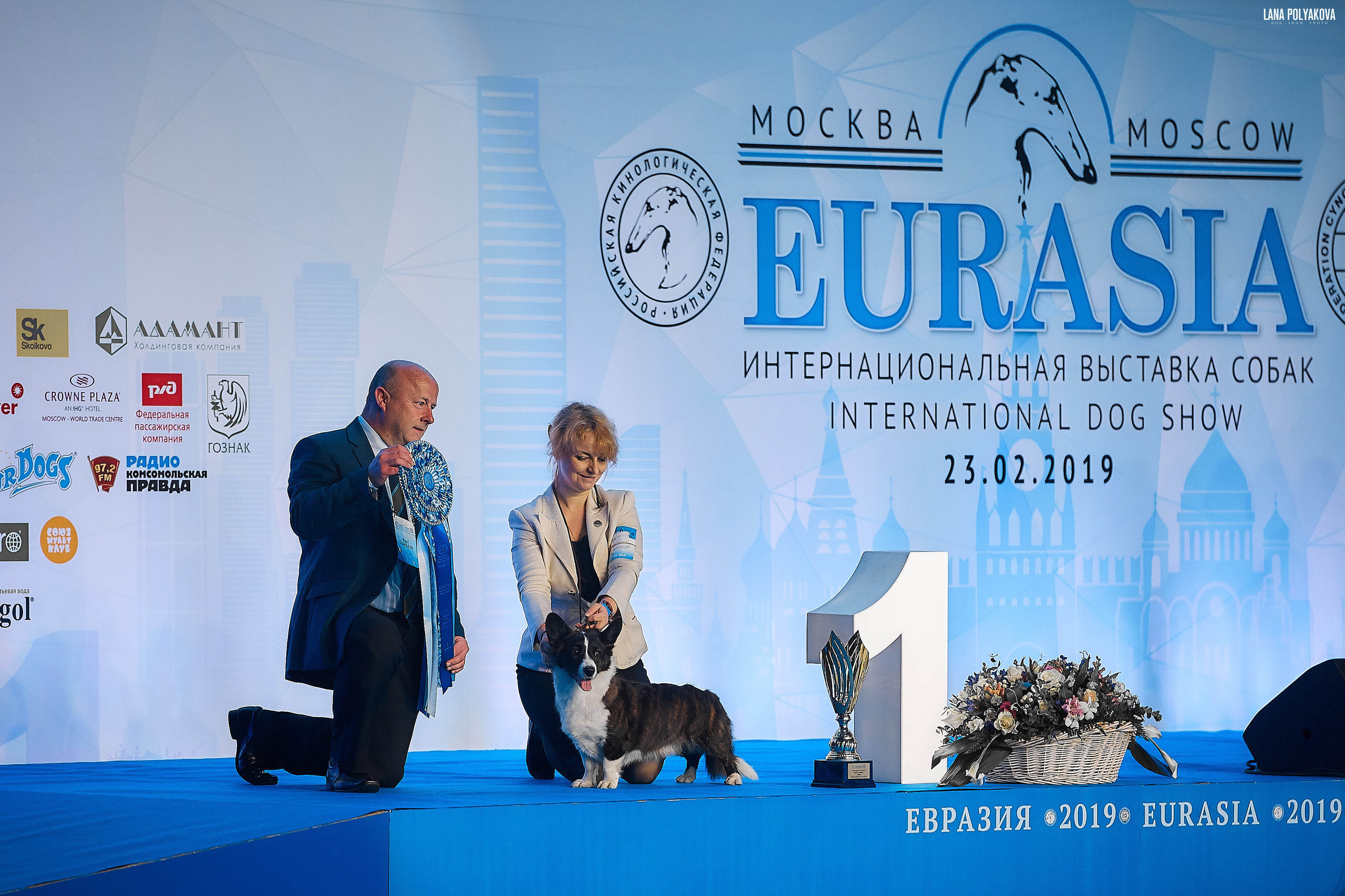 Съемки на выставке. ЕВРАЗИЯ 2019, 2 x CACIB
МВЦ КРОКУС ЭКСПО
DANNIDAKS RINNON ENIYA