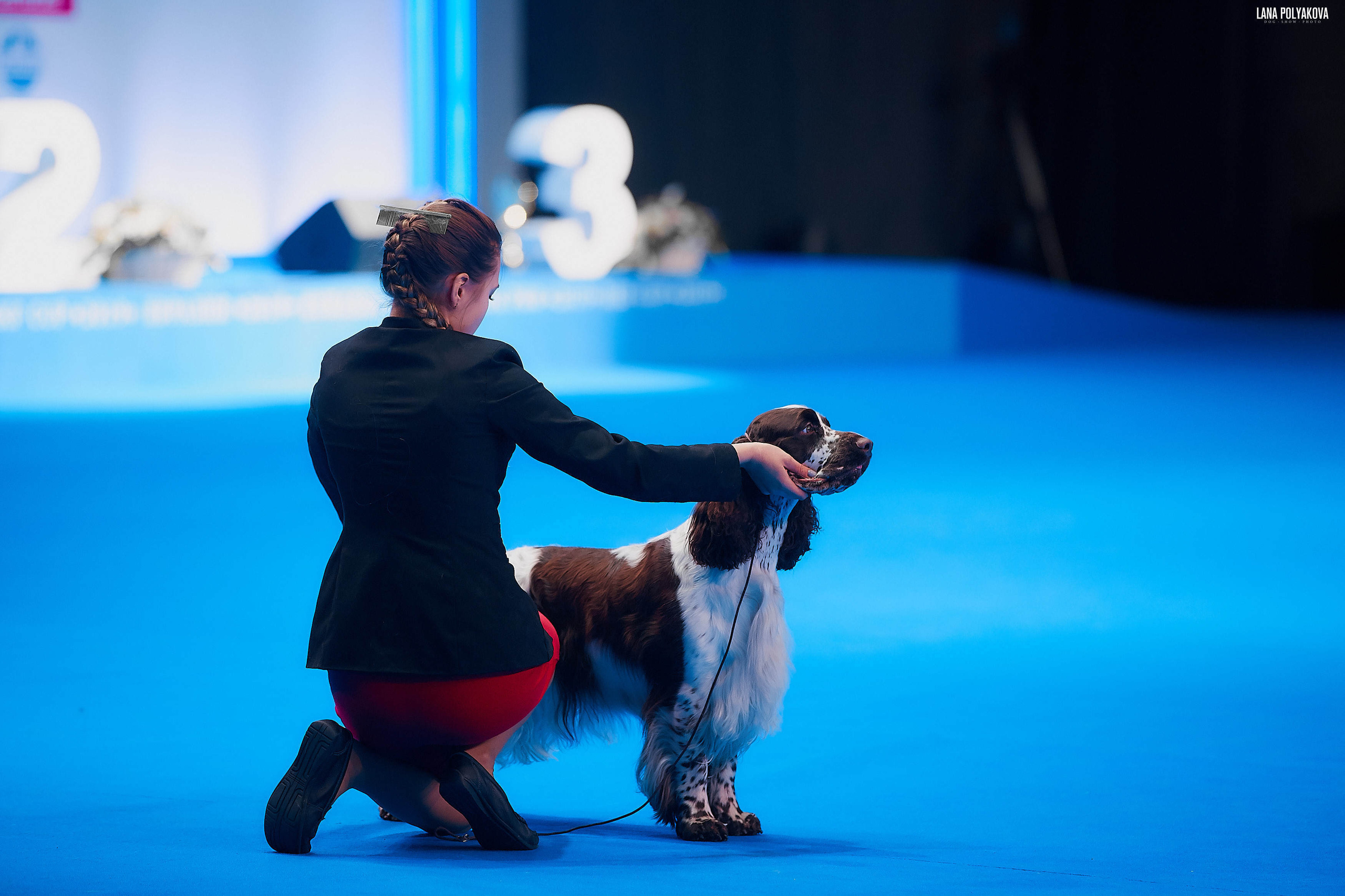 Съемки на выставке. ЕВРАЗИЯ 2019, 2 x CACIB
МВЦ КРОКУС ЭКСПО