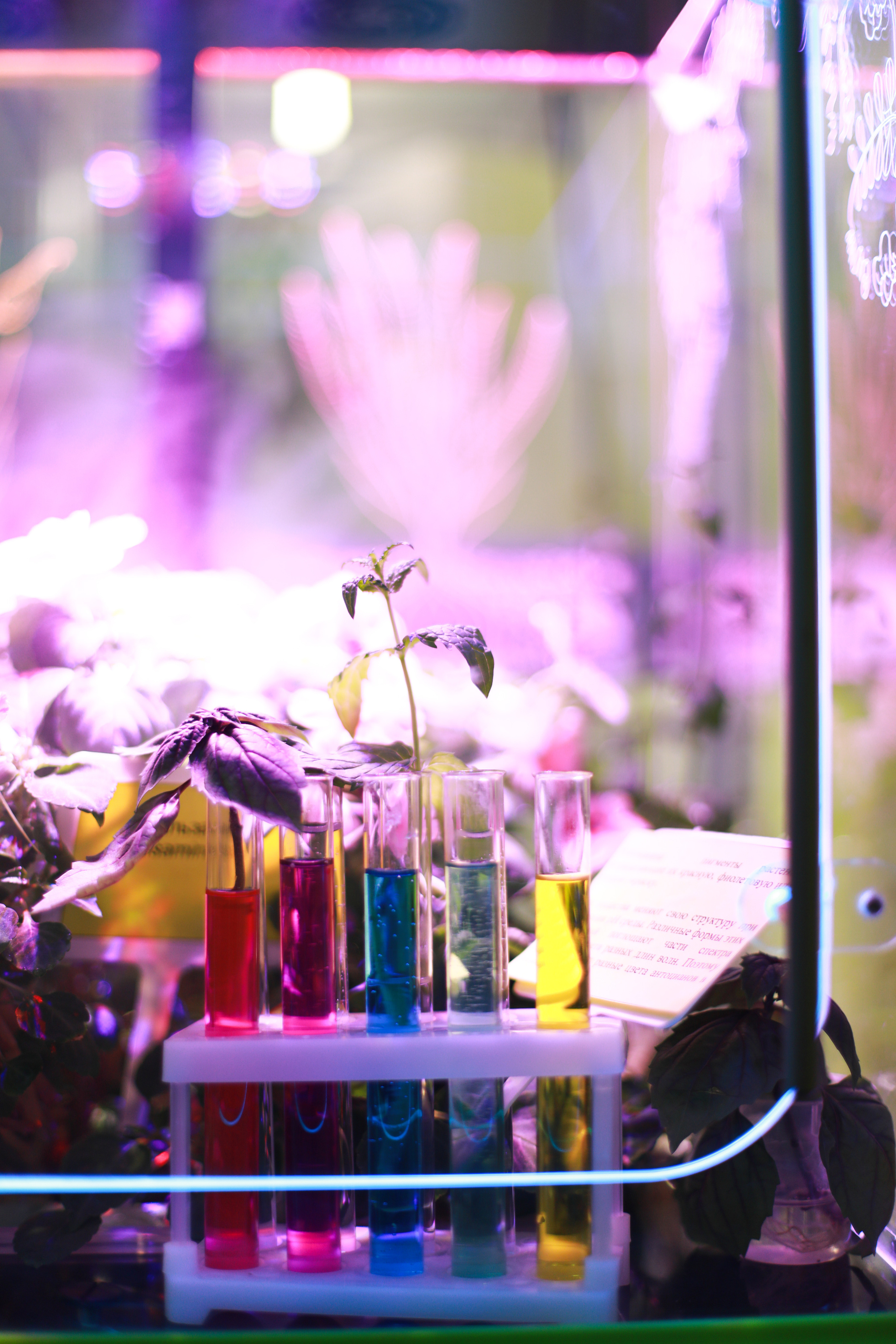 MMCO.EXPO-2023. КЭНДИ | Вязаные игрушки и декор на заказ