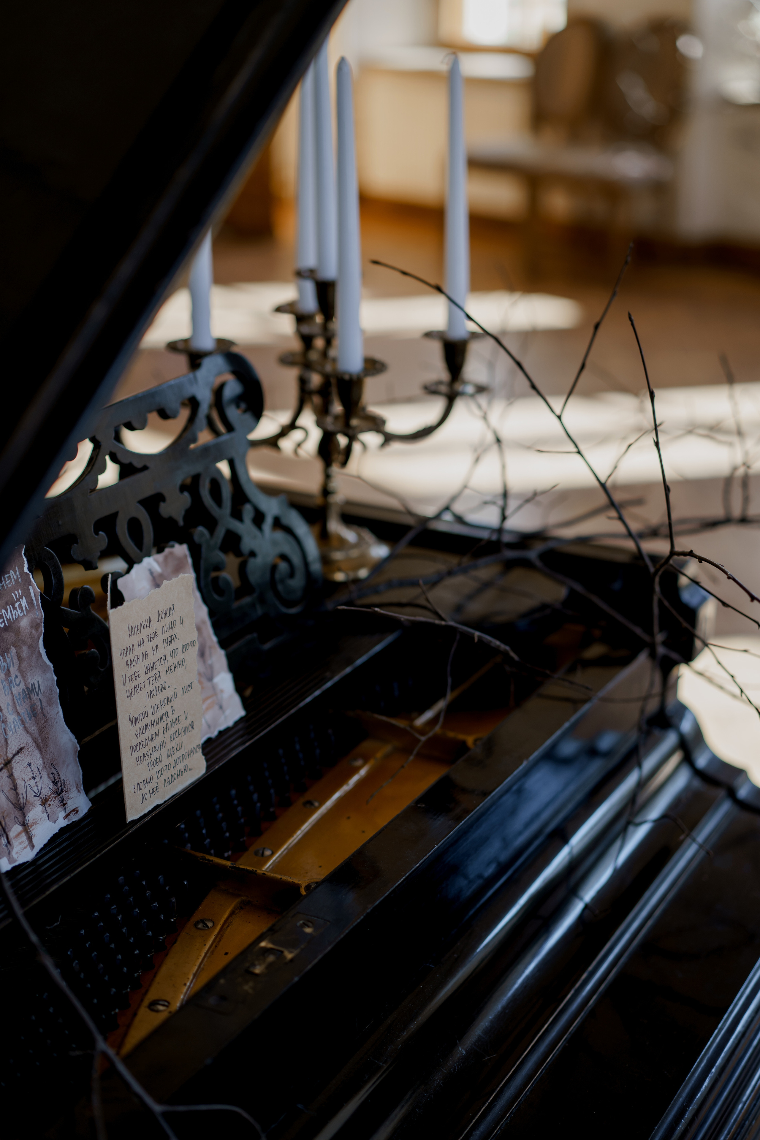 Пушкинская библиотека. Свадебный организатор в Москве и Санкт-Петербурге Пергаева Ольга