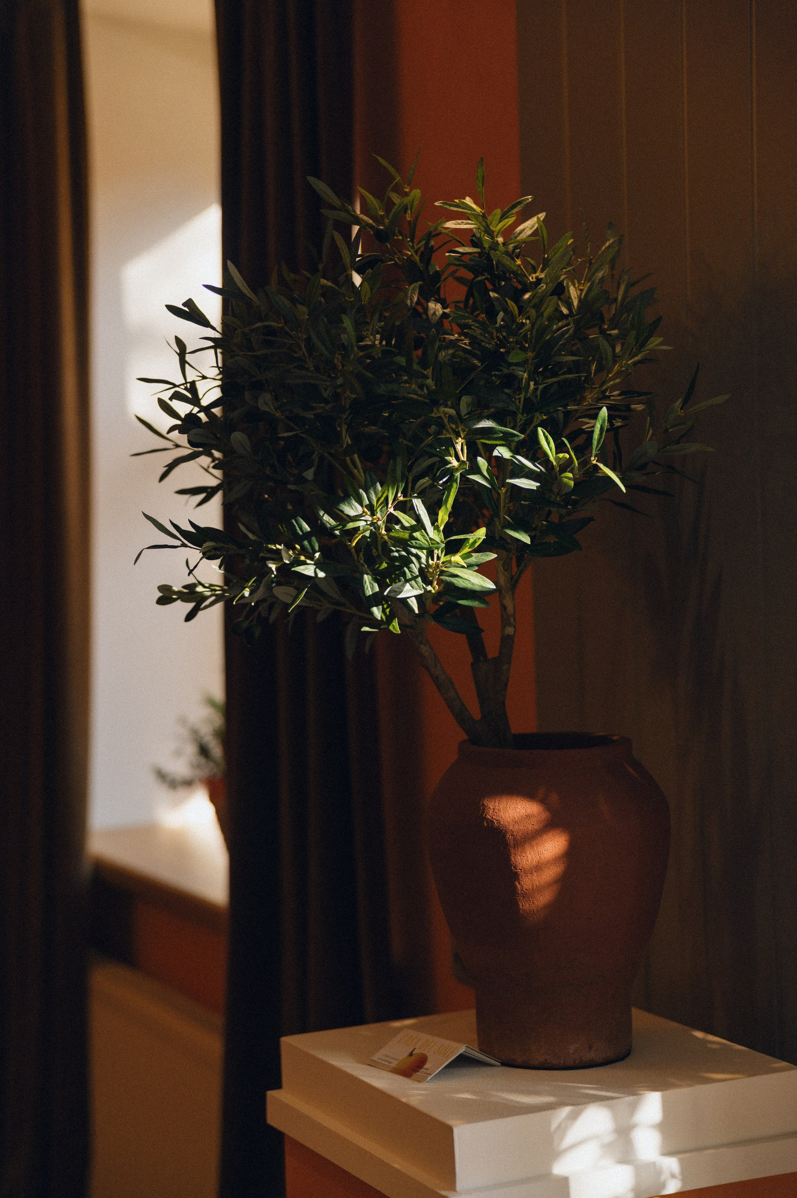 Данил и Оля. Свадебный фотограф и видеограф