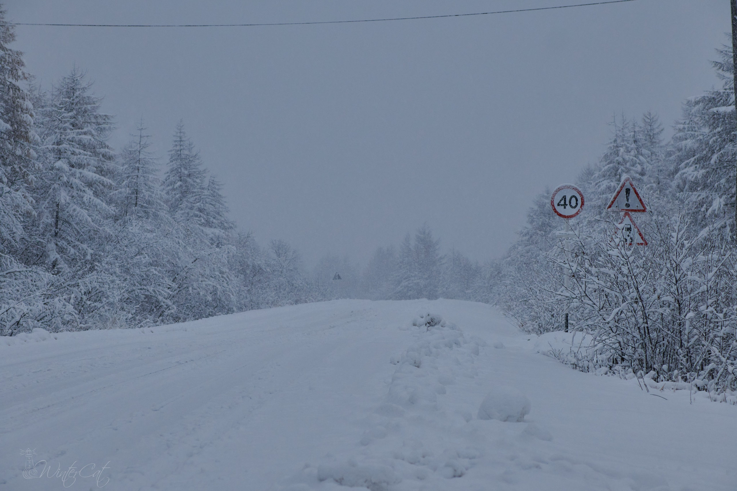 Женя и Снег. Портретный и репортажный фотограф в Магадане Андрей Нефедов WinterCatPhoto