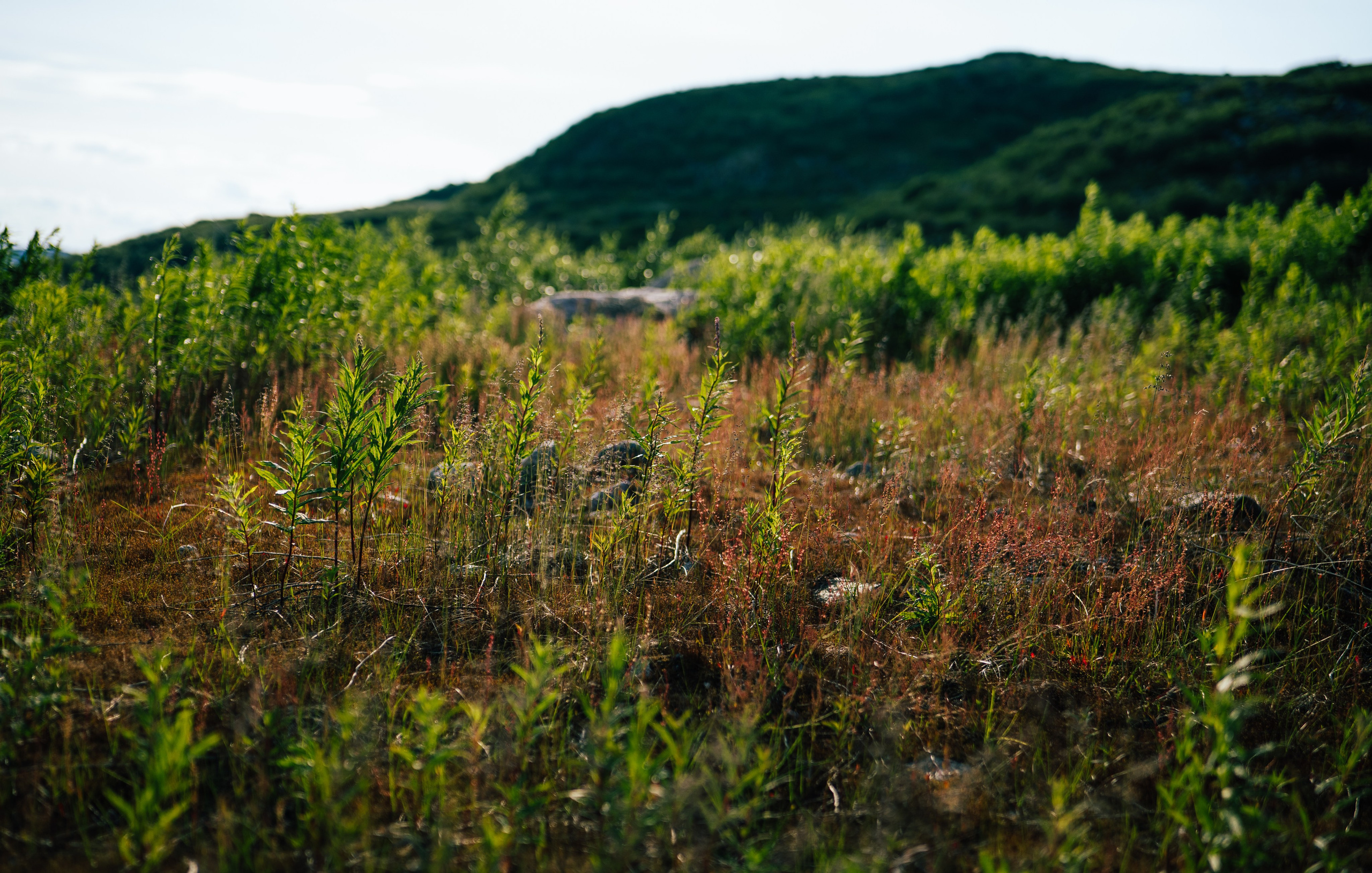 ТЕРИБЕРКА. Создание контента | Фото | Видеосъемка | Александр Ярков