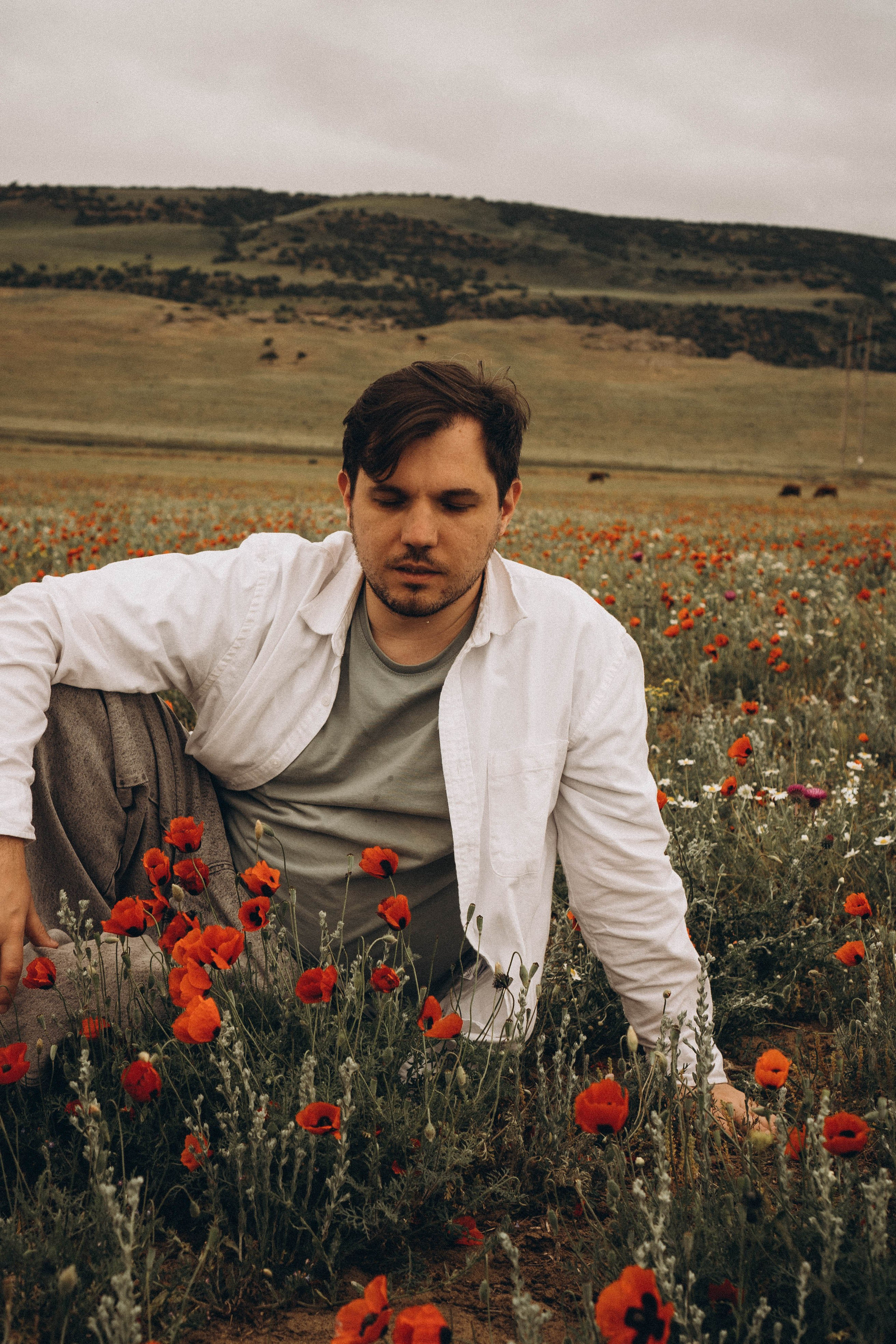 Маки. Профессиональный фотограф, Санкт-Петербург — Виктория Богомолова