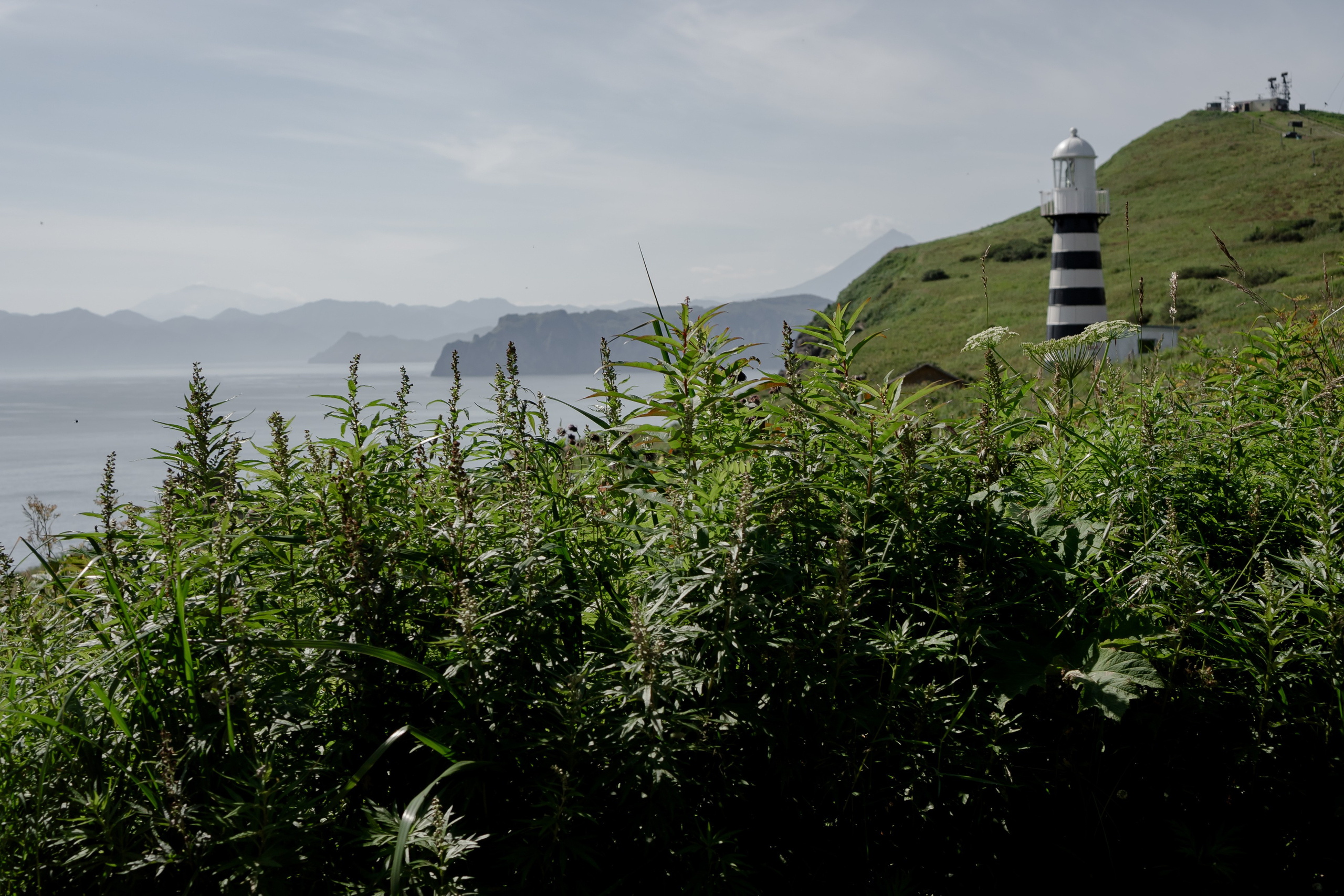 Мыс Маячный на Камчатке. Профессиональный фотограф, Санкт-Петербург — Виктория Богомолова