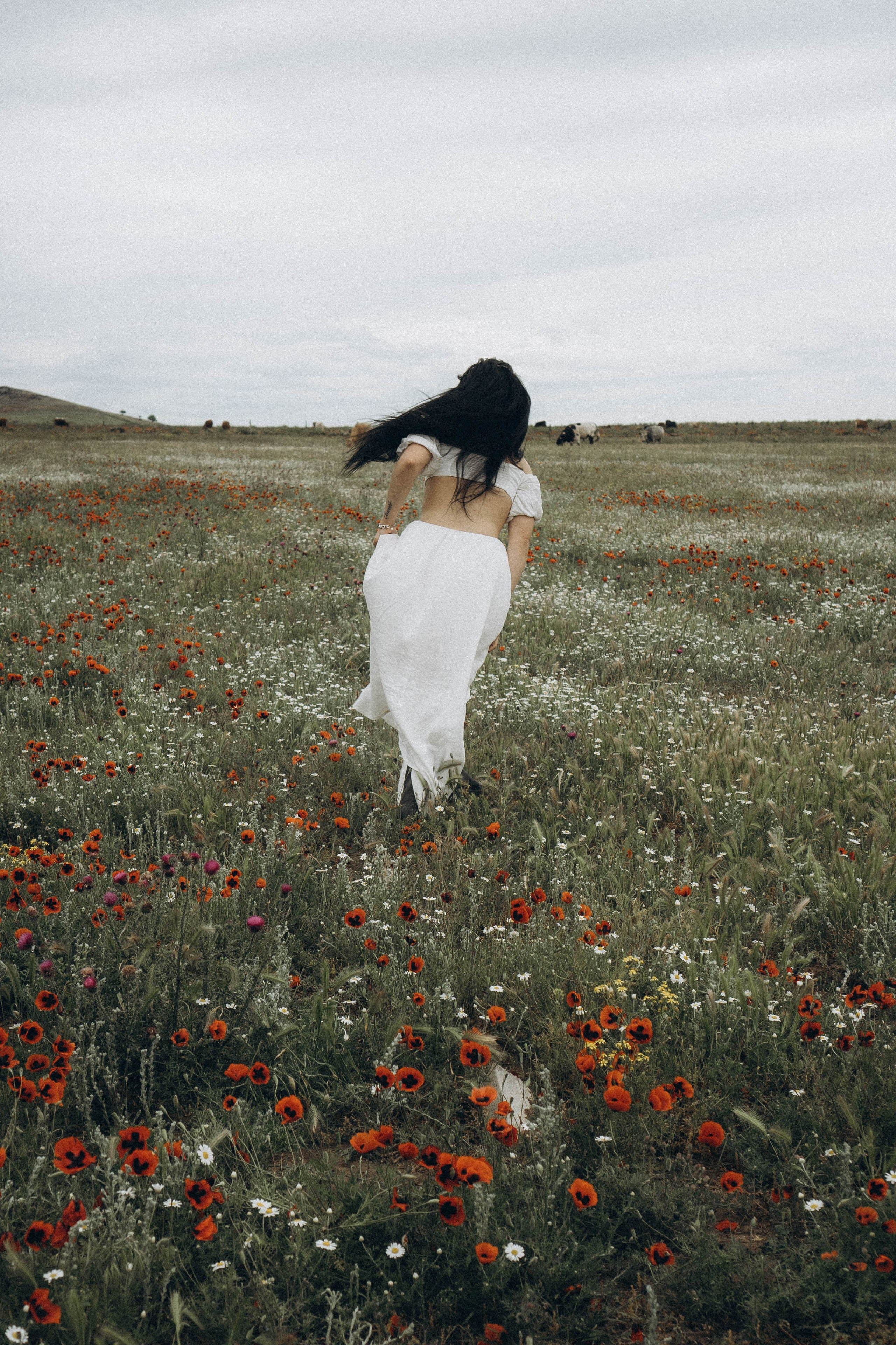 Маковое поле. Профессиональный фотограф, Санкт-Петербург — Виктория Богомолова