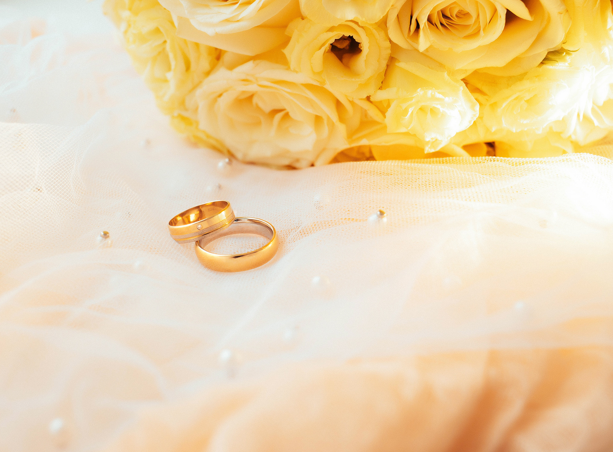 Прохладная листва. Фотограф в Кронштадте и Санкт-Петербурге Анастасия Коваленко