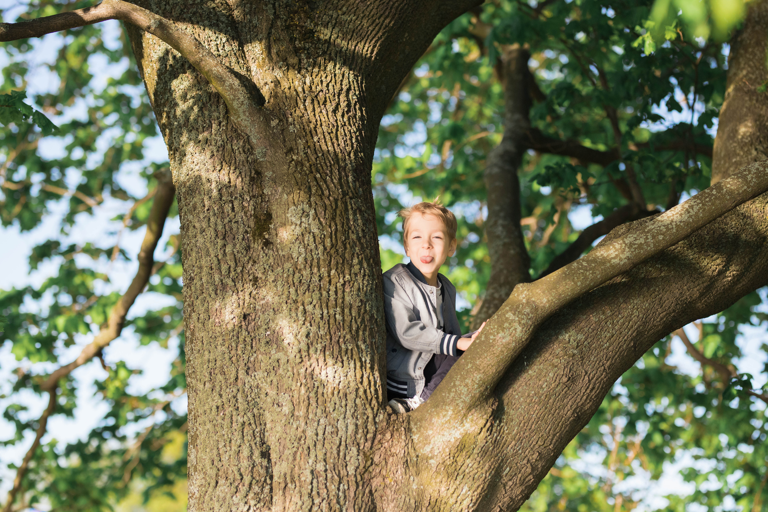 Майский пикник. Фотограф в Кронштадте и Санкт-Петербурге Анастасия Коваленко