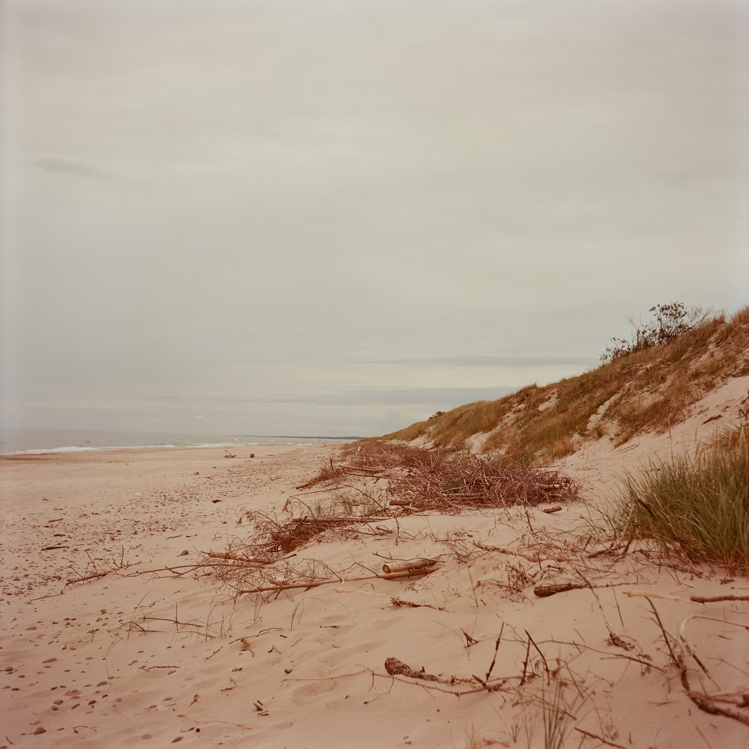 Куршская коса / Super Fujica-6 / Kodak Aeronega 100 (Kodak Aerocolor IV)