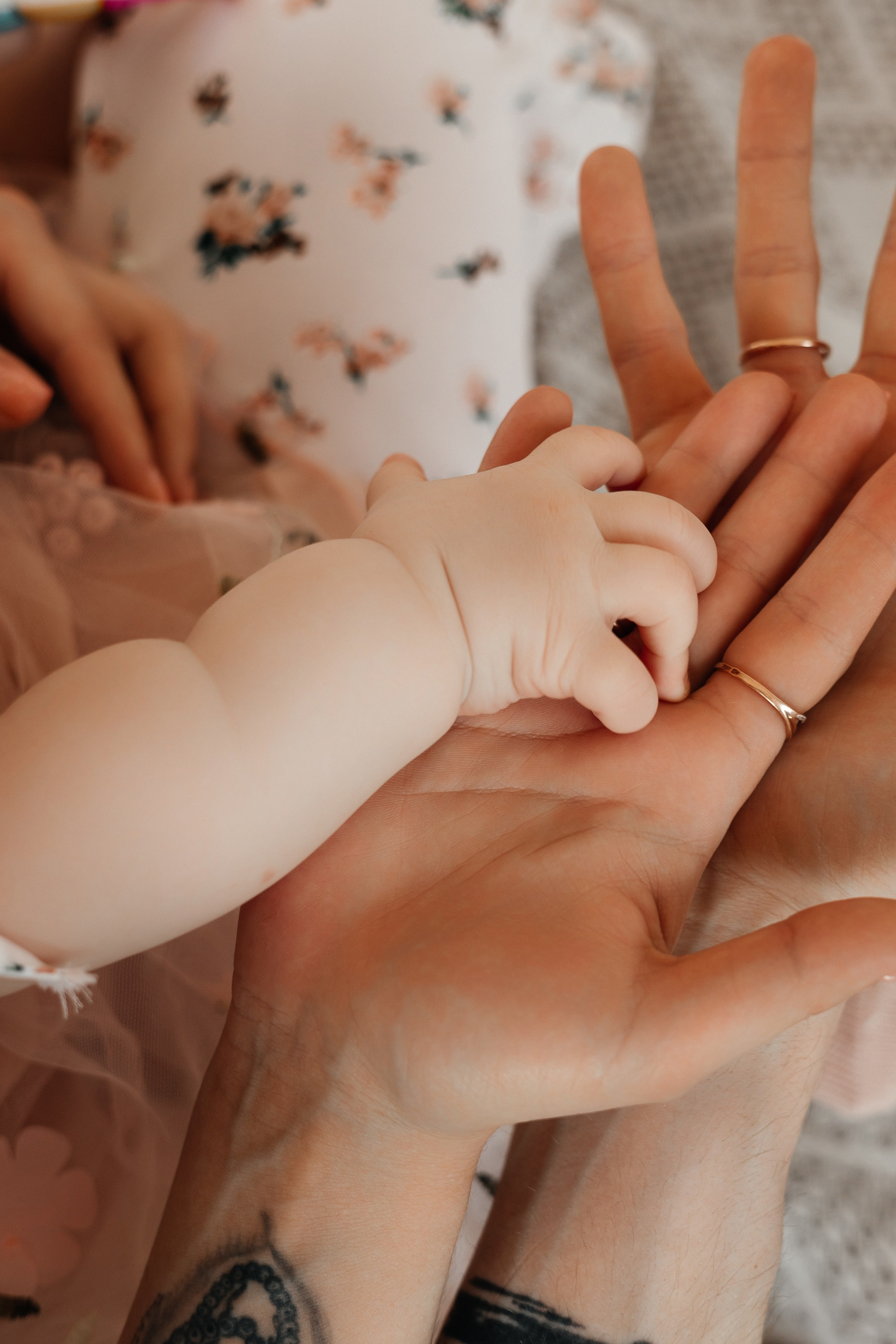 анисина анна, фотограф в иваново, семейная фотосессия в иваново, фотограф не дорого в иваново, фотосессия для малыша, фотостудия в иваново, семейный фотограф, фотограф на день рождение