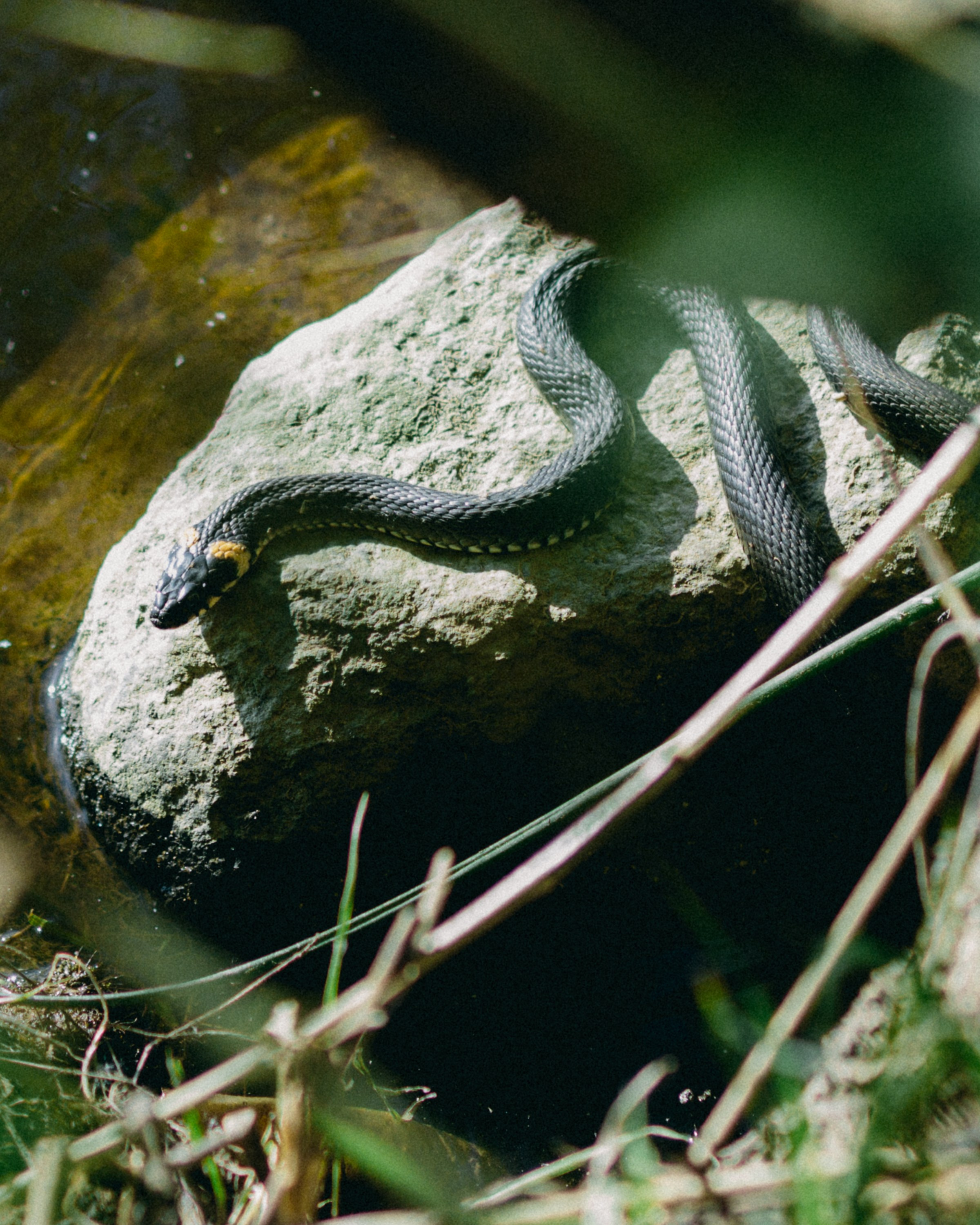 Открытие сезона созерцаний. Репортажный и портретный фотограф во Владимире Сергей Кравцов