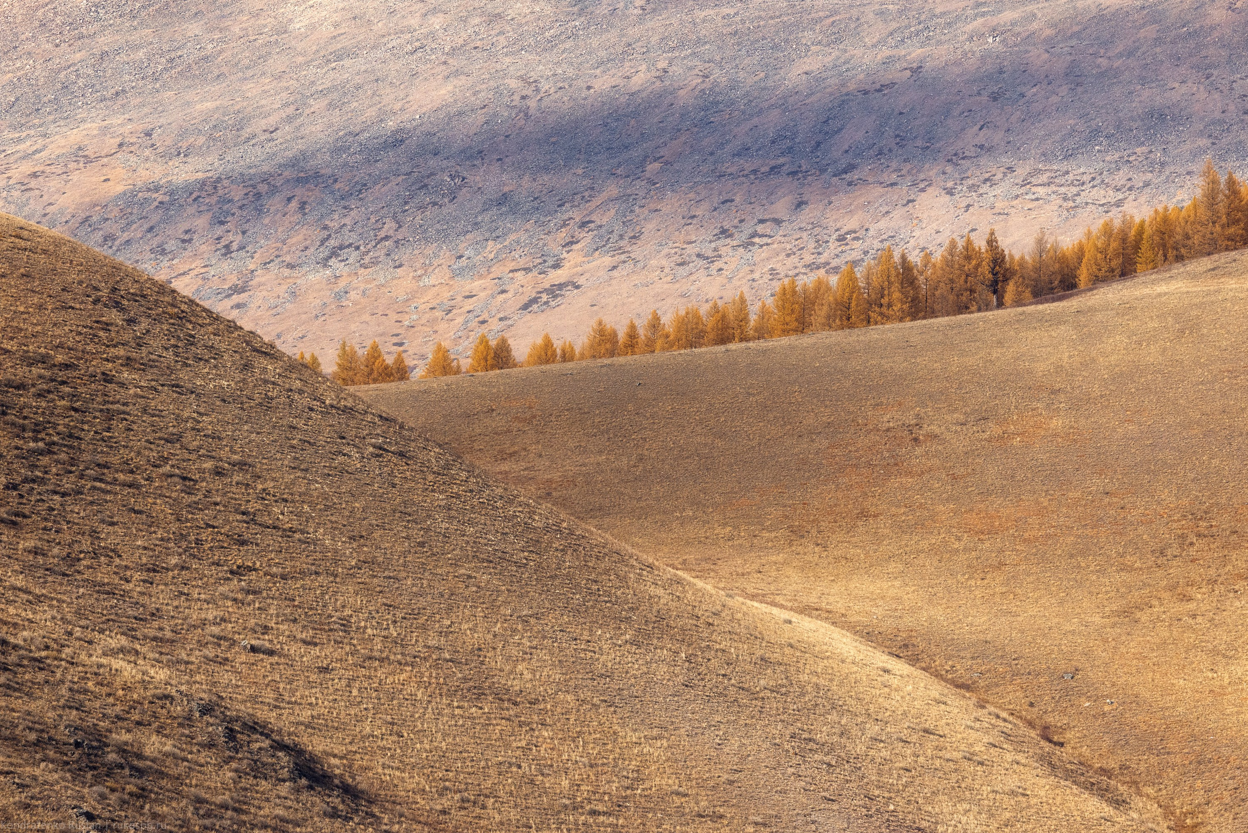 Горный Алтай. Архитектурный и пейзажный фотограф Кондратенко Руслан, Санкт-Петербург