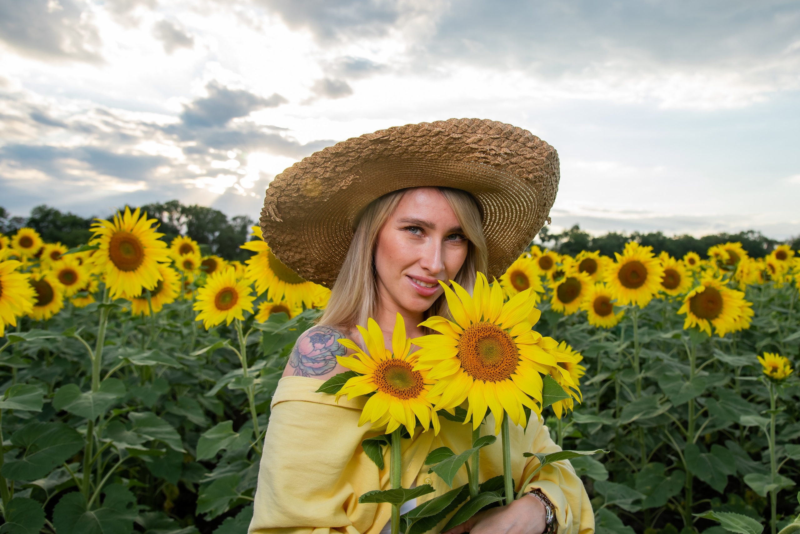 Подсолнух. Фотограф Галина Нестерова