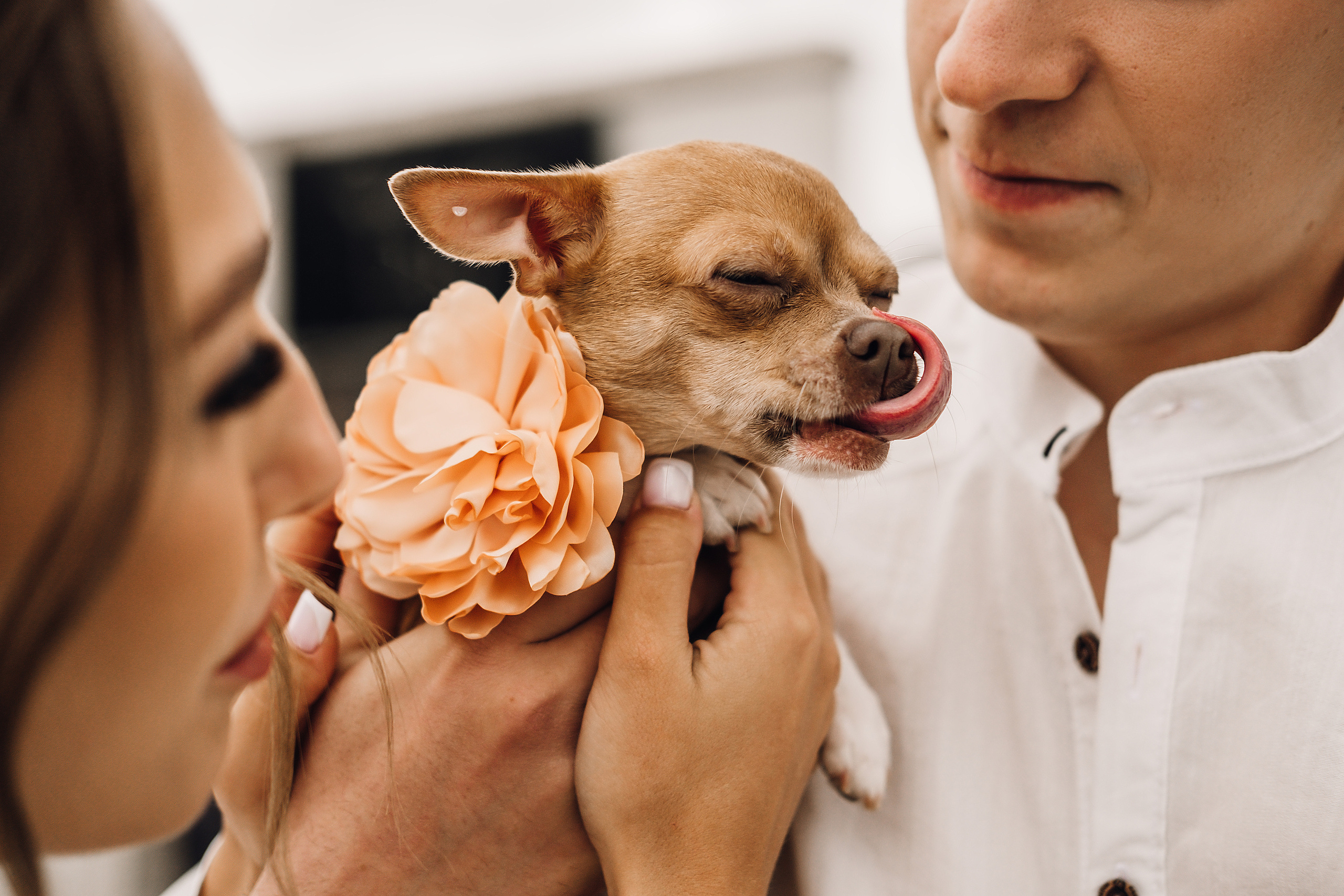 Настя и Артем. Свадебный и семейный фотограф в Ульяновске Анастасия Мышенкова