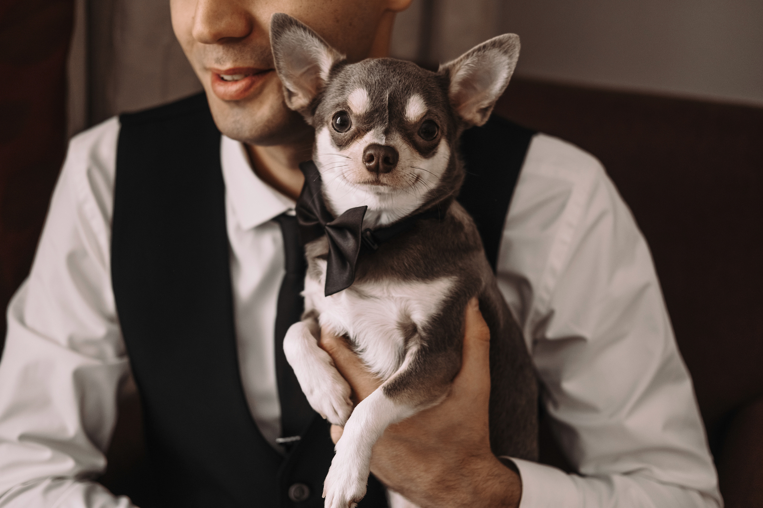 Аня и Артур. Свадебный и семейный фотограф в Ульяновске Анастасия Мышенкова