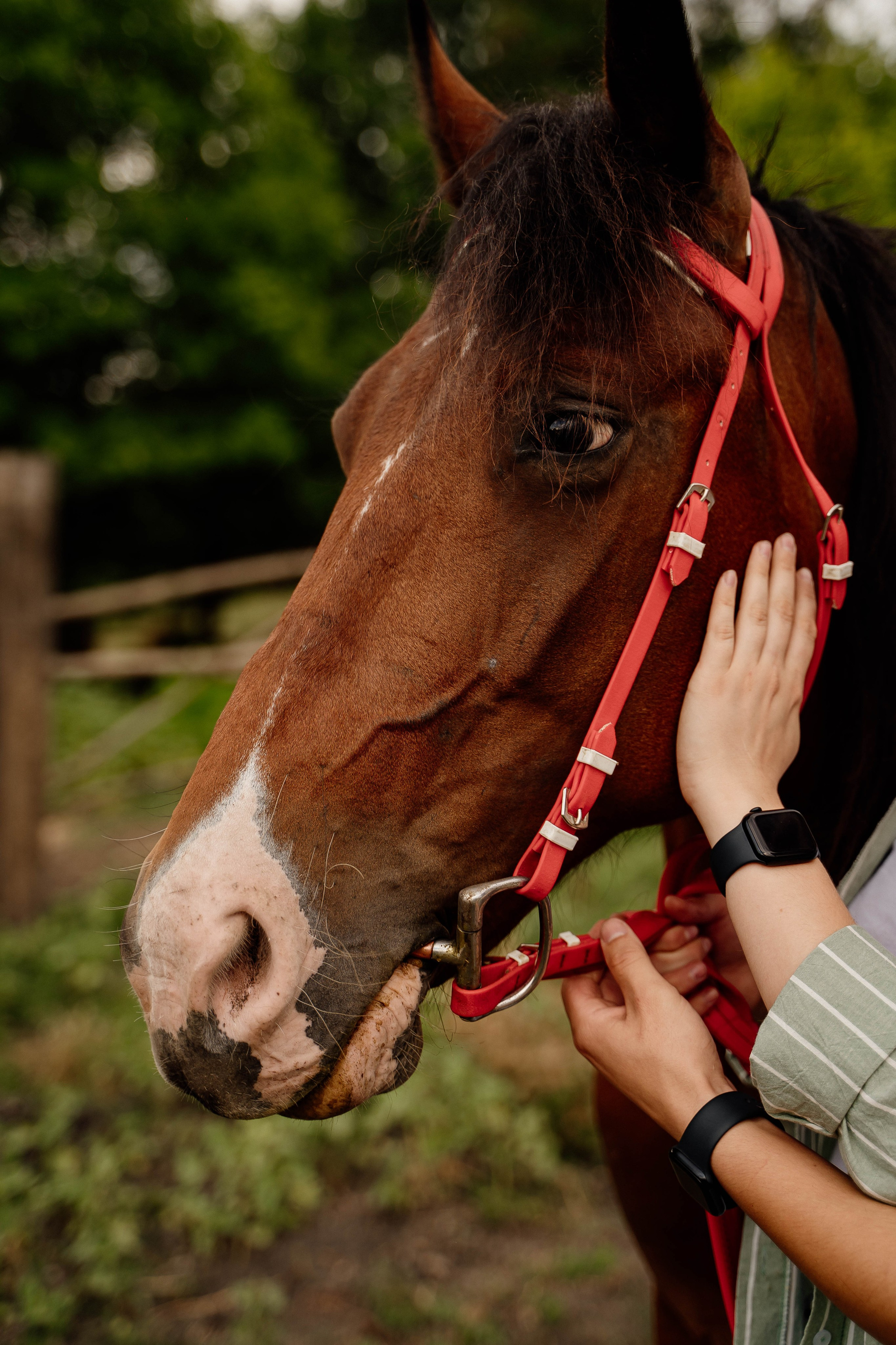 Даня и Лера на Ранчо. Свадебный и семейный фотограф