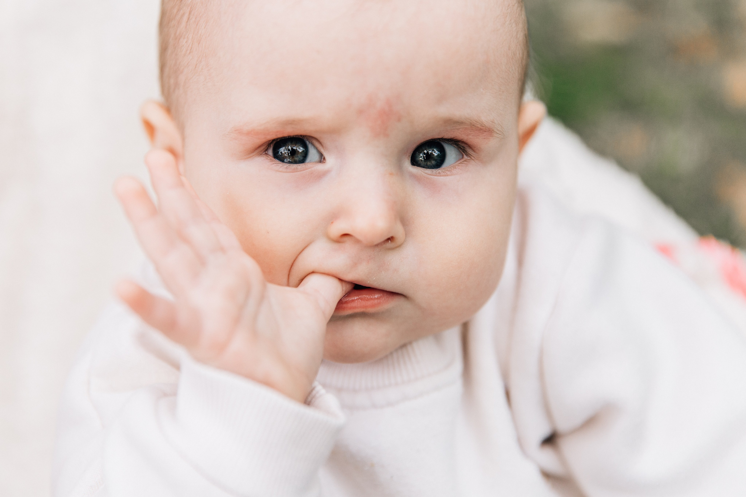 Аня, Вера, Кира и мама. Фотограф-анималист в Москве Соломонова Варвара