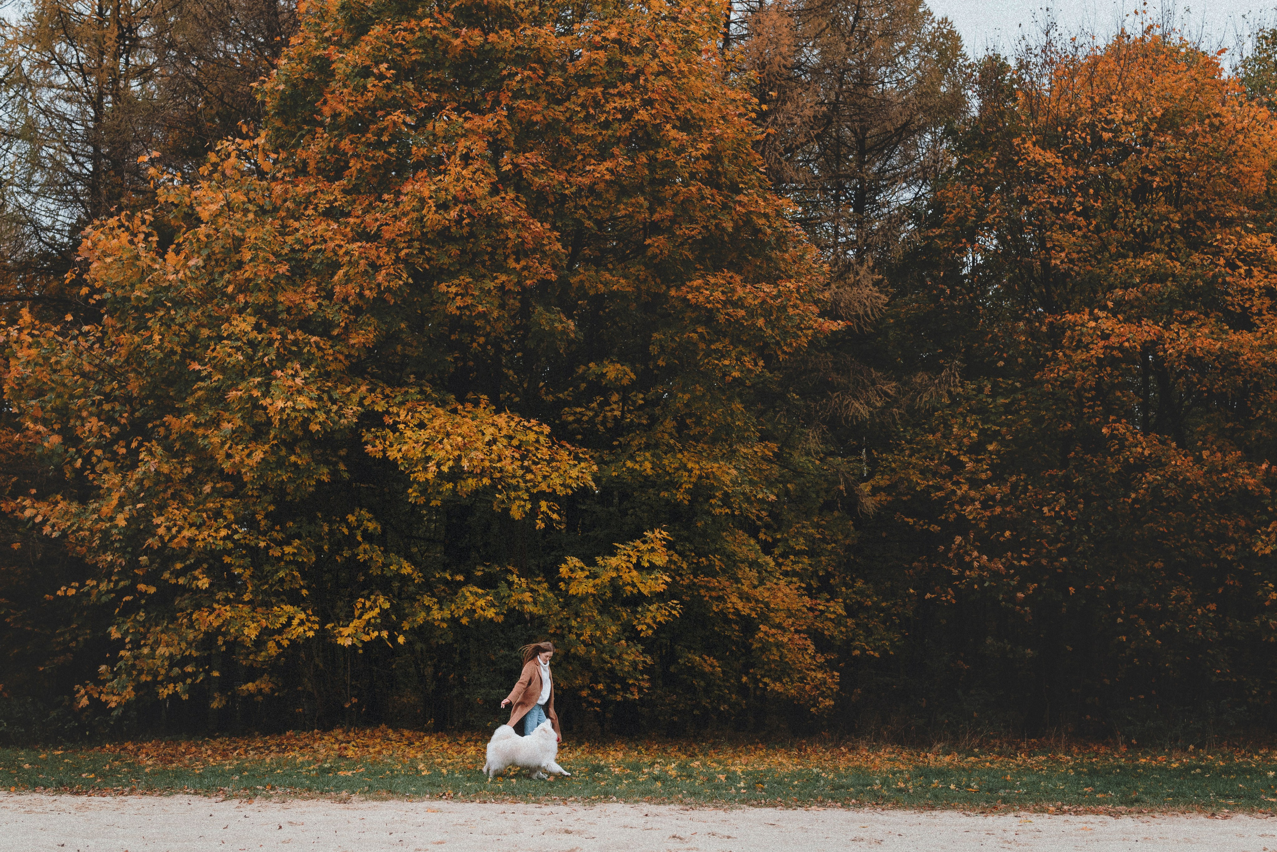 Valya & Varya. Natalia Finch Photography — Family, Kids & Pet Photographer in Chicago, IL