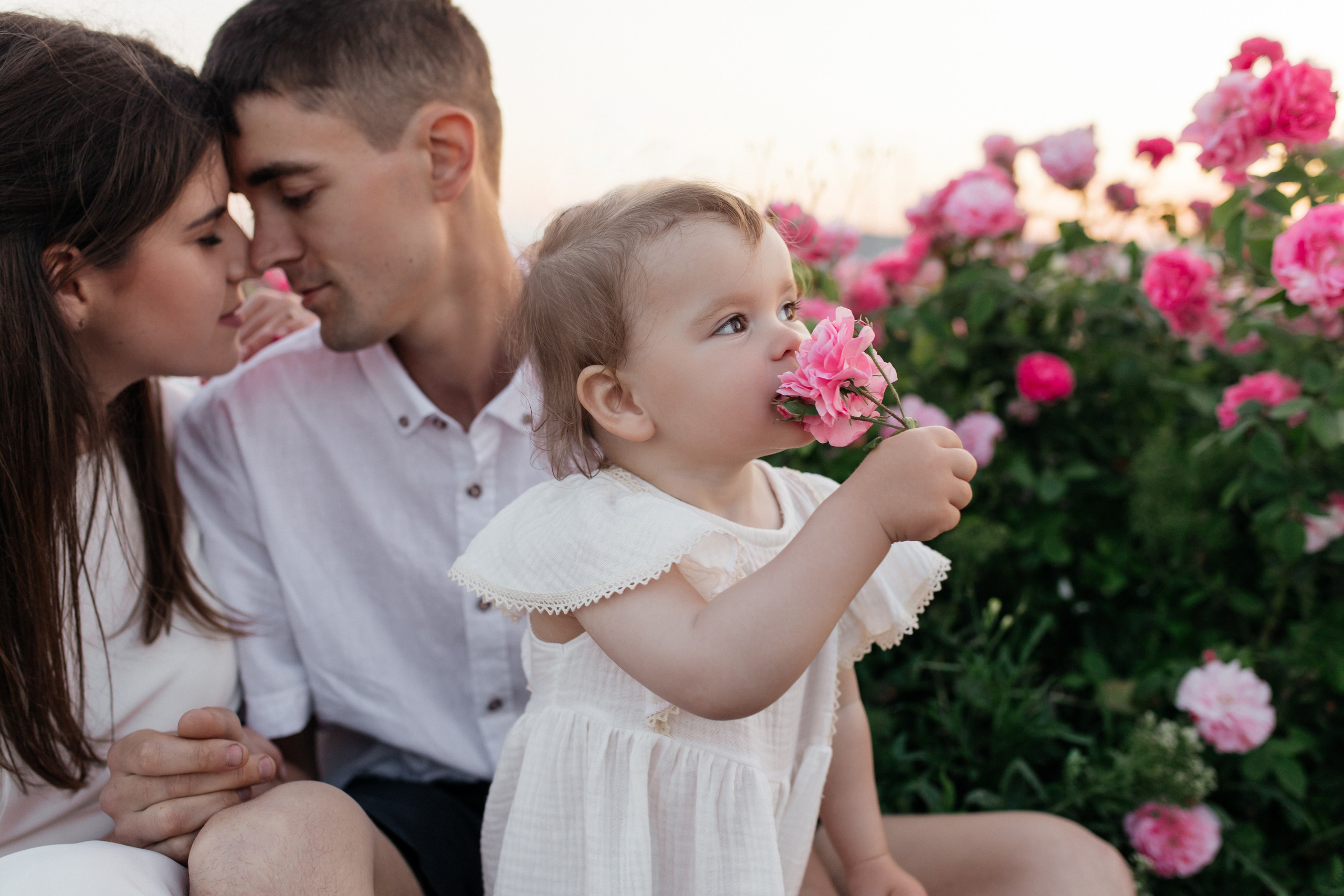 Rose. ФОТОГРАФ