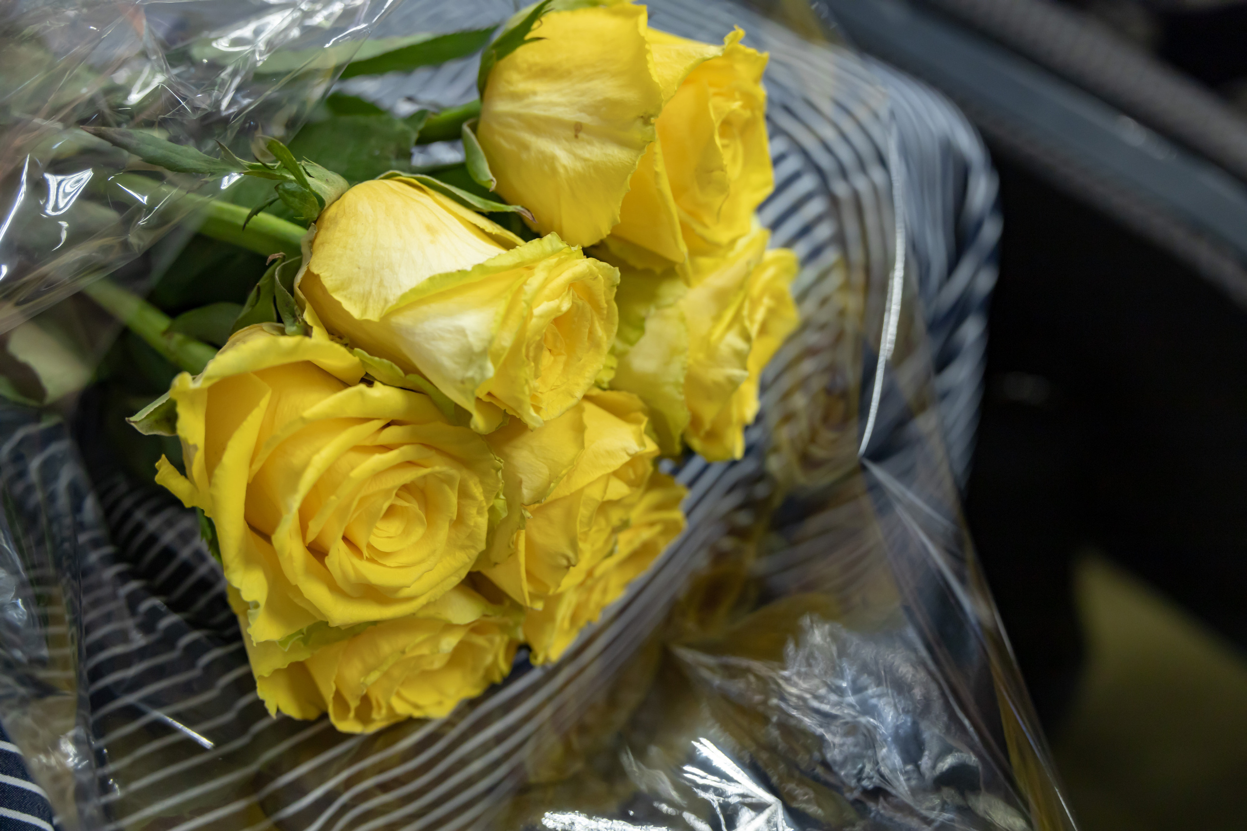 Выездная фотосессия в спб. Фотограф Катерина Изи