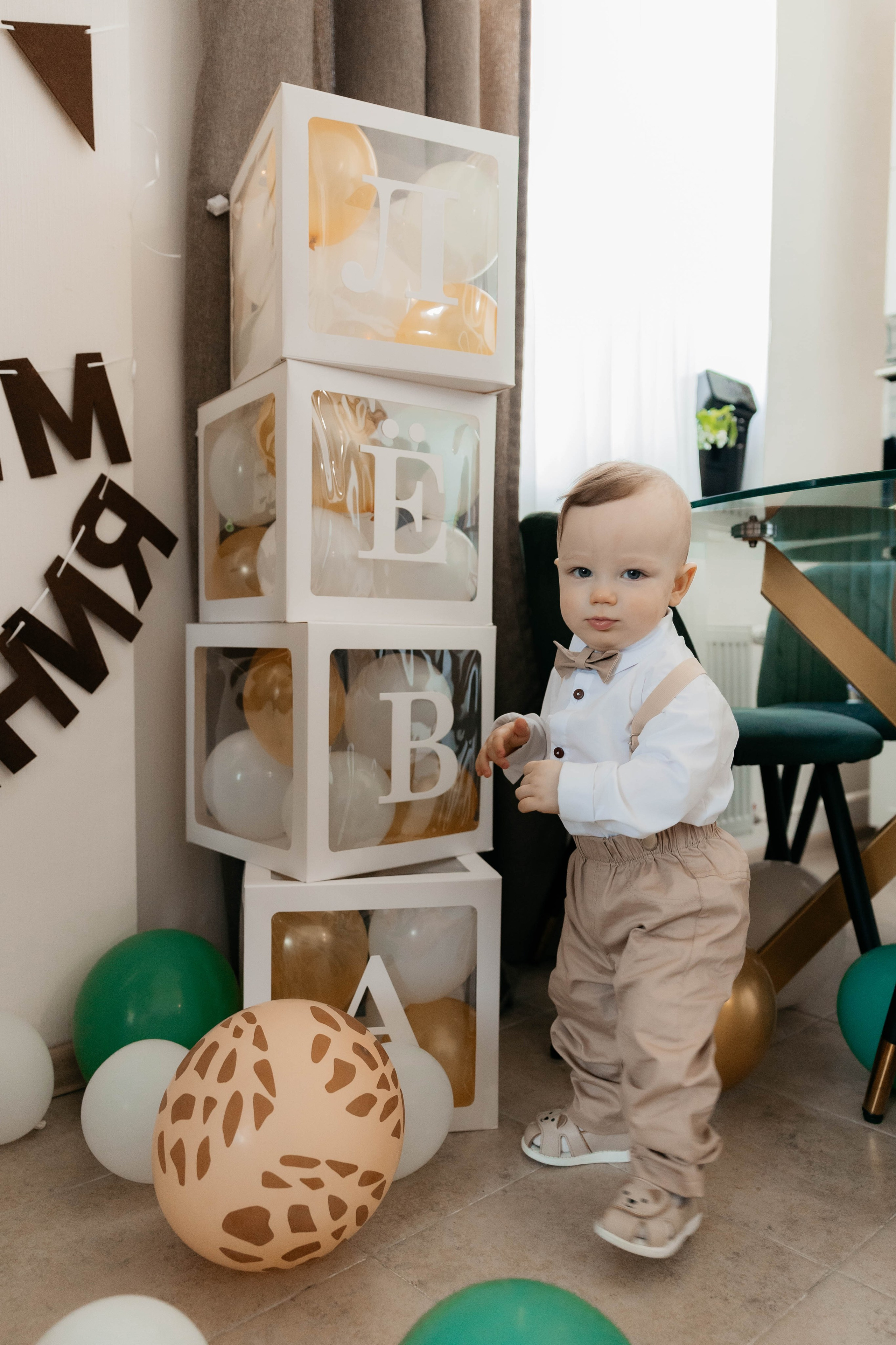 Лев. 2024 г. Персональный фотограф Катерина Литвинова