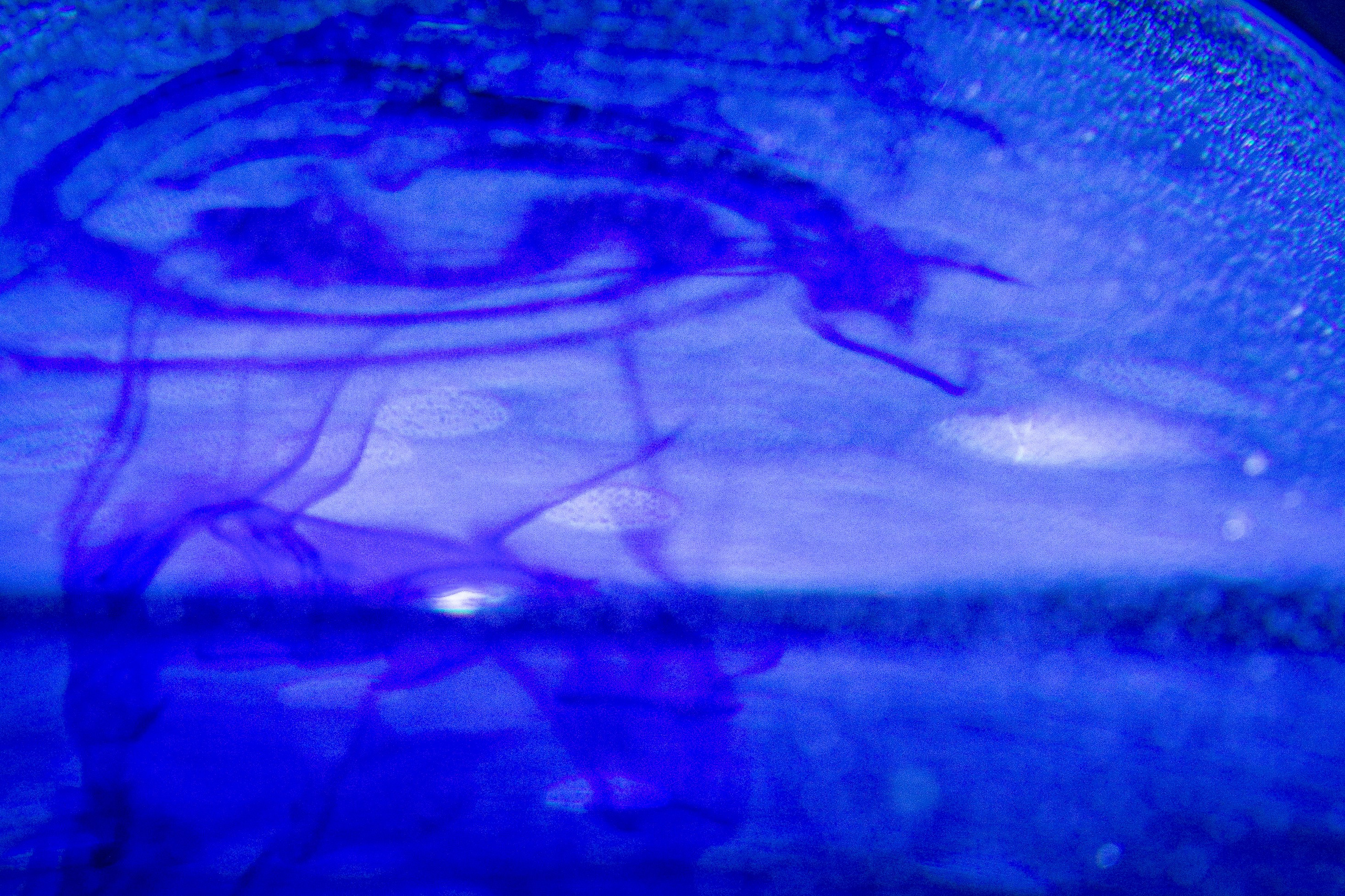 КАПЛЯ И ОКЕАН. АННА ВЕРСО / ANNA VERSO | Визуальный художник / Visual artist