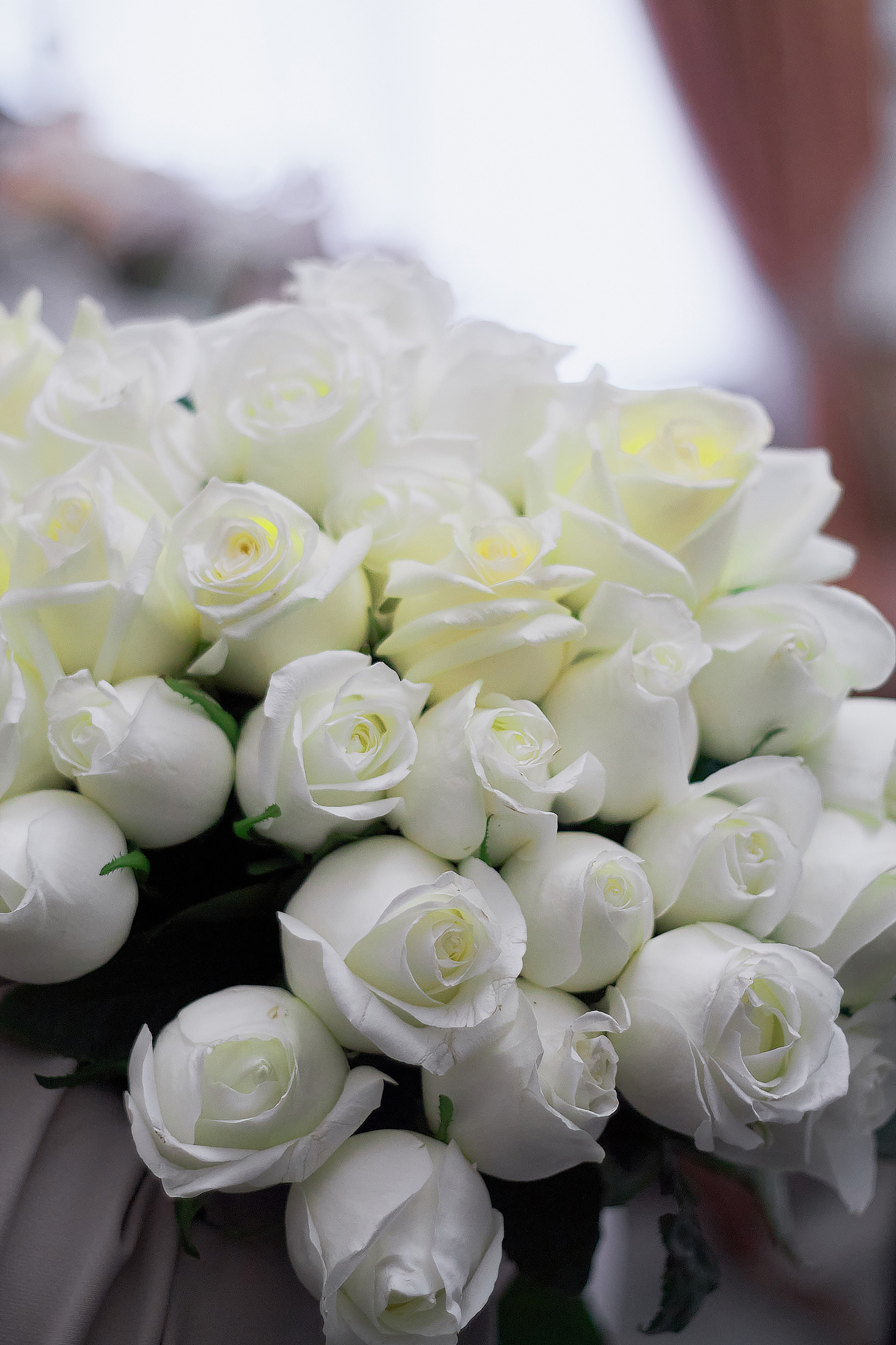 Сергей и Маргарита. Чумаков Алексей Фотограф|Видеограф свадебные, индивидуальные, семейные, репортаж