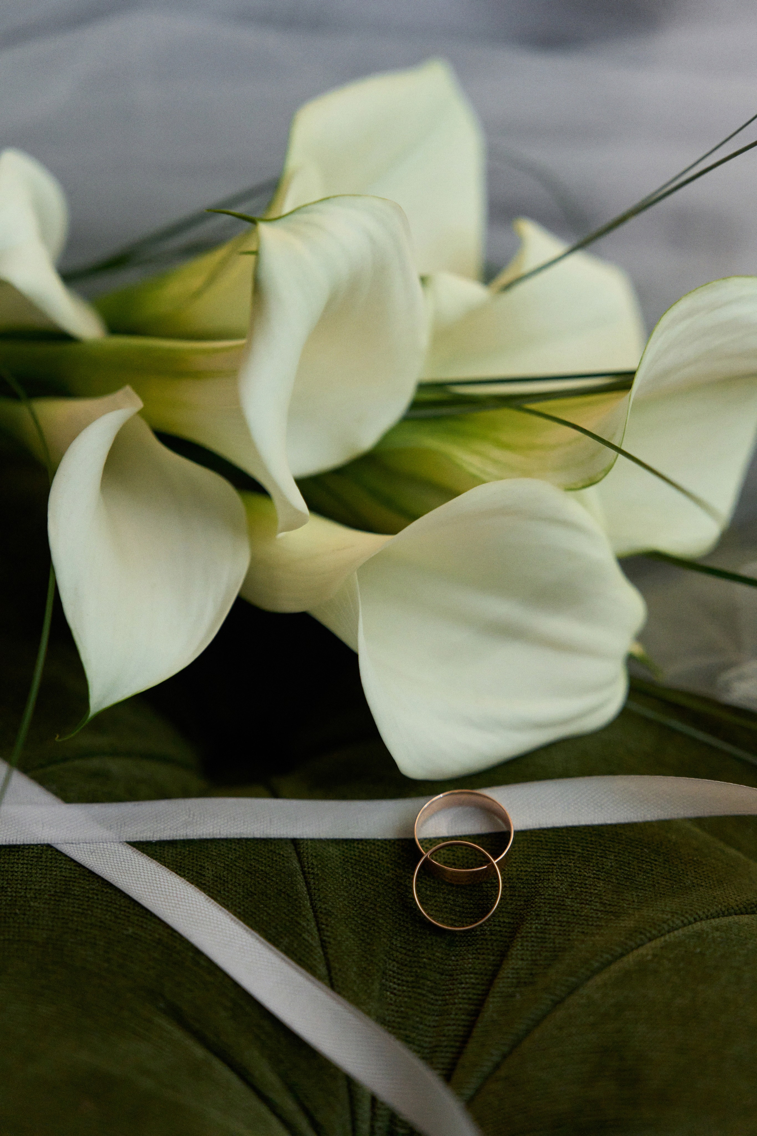 Владислав и Мария. Чумаков Алексей Фотограф|Видеограф свадебные, индивидуальные, семейные, репортаж