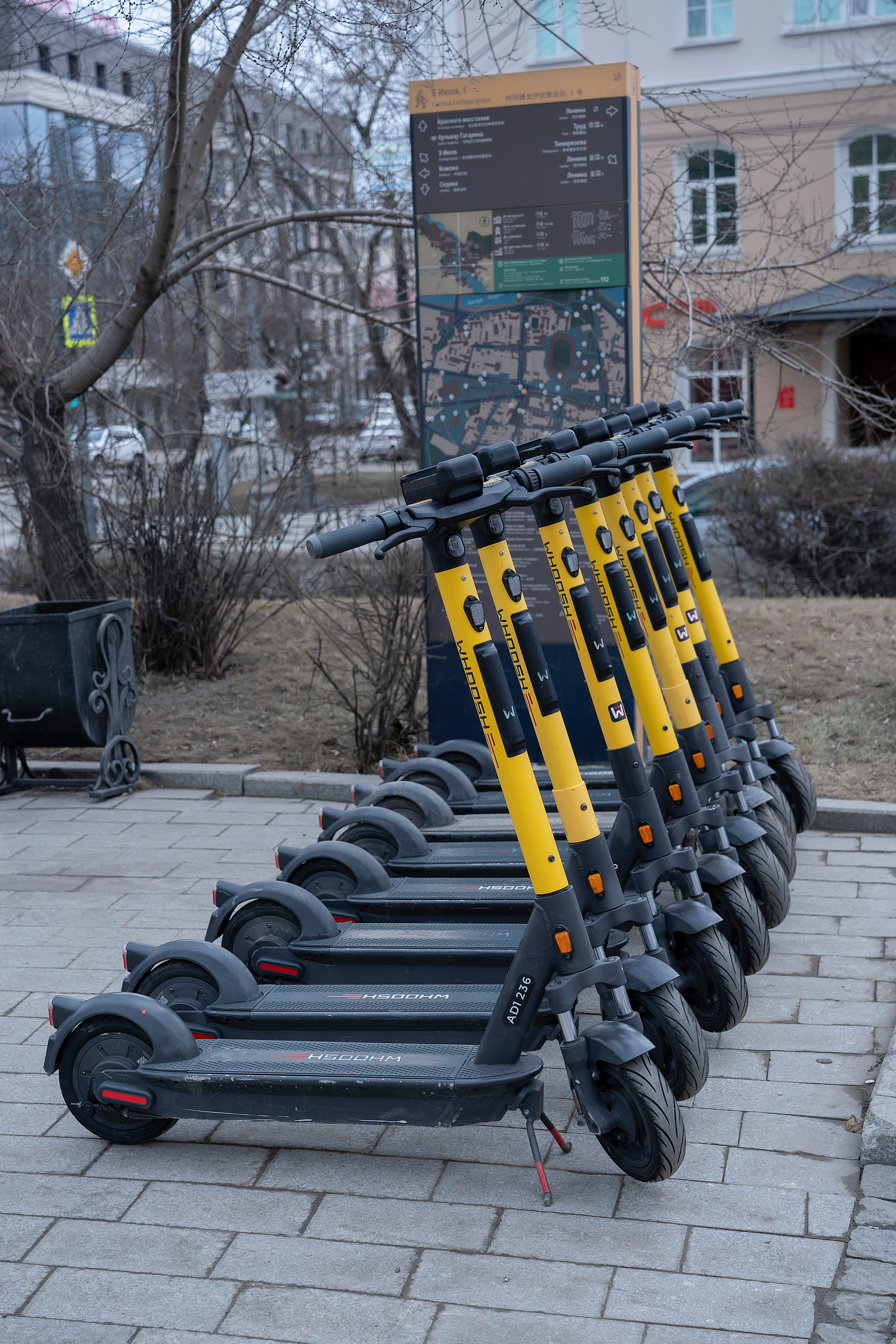 Отпусти гусей. Семейный, детский и школьный фотограф в Иркутске Алёна Зорка