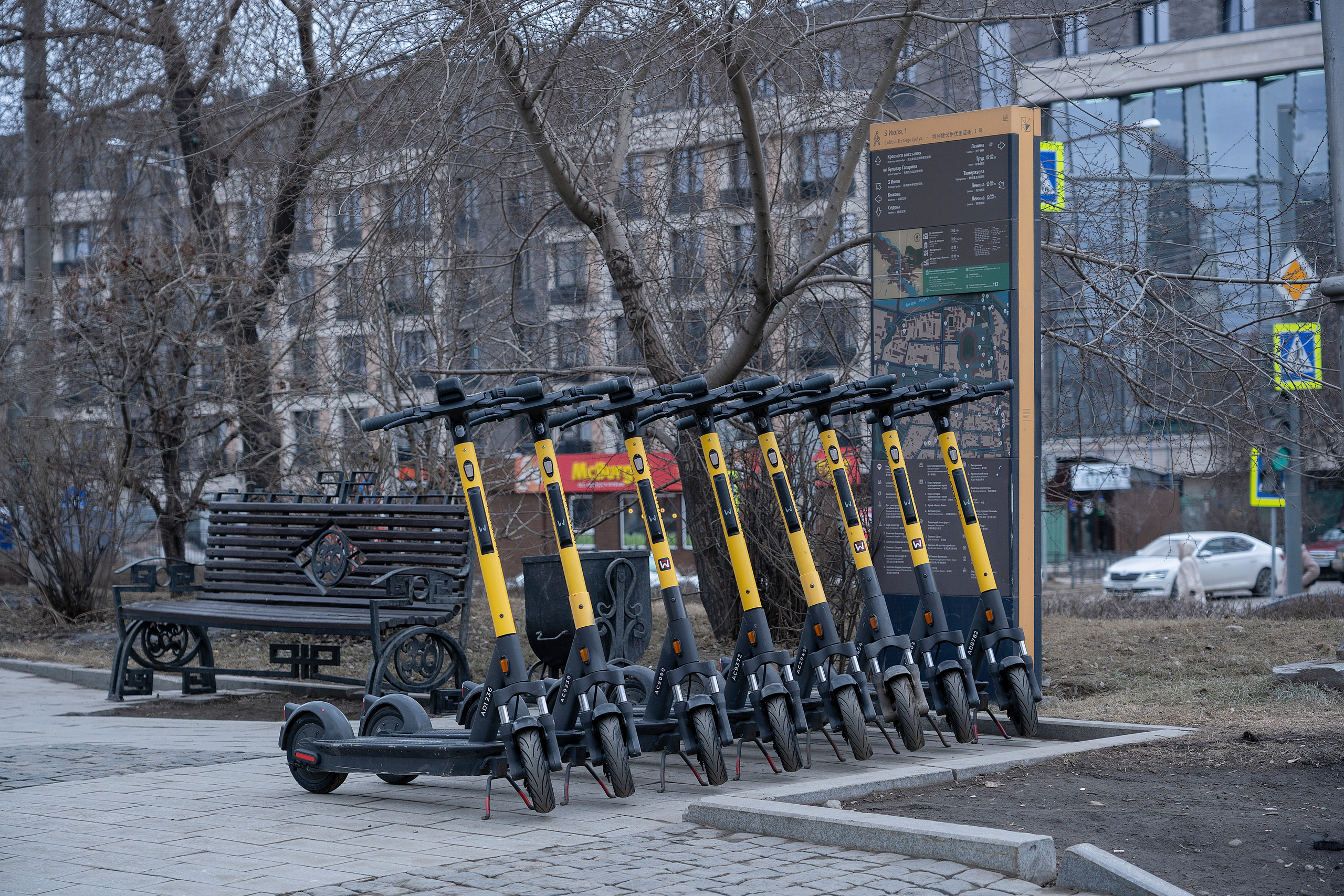 Отпусти гусей. Семейный, детский и школьный фотограф в Иркутске Алёна Зорка