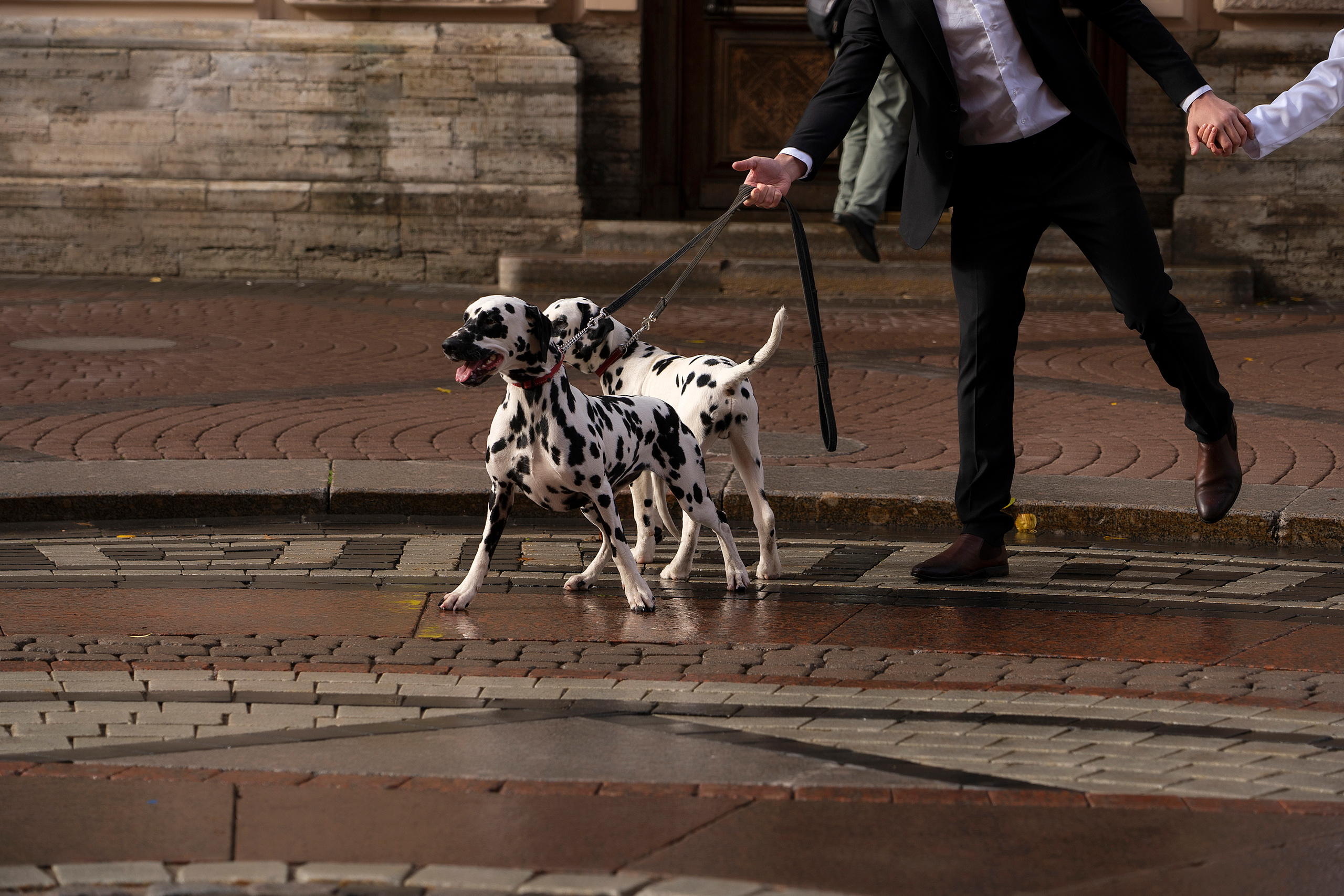 Альбом 4. Семейный, детский и школьный фотограф в Иркутске Алёна Зорка