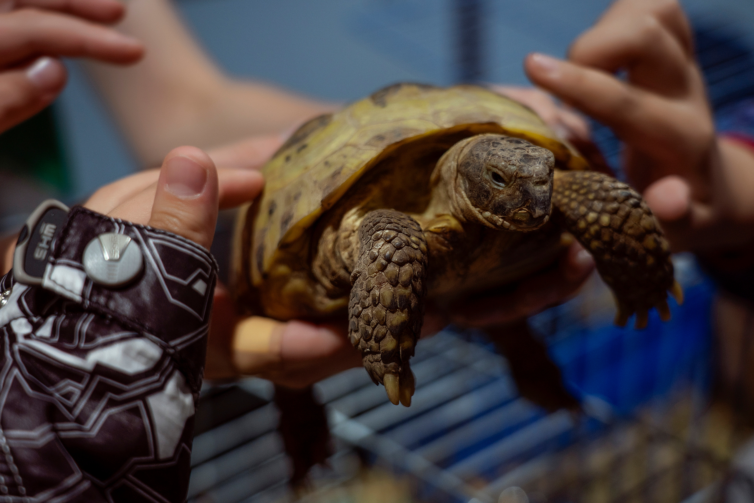 Все любят спорт. Байкал-арена. 10лет. Семейный, детский и школьный фотограф в Иркутске Алёна Зорка