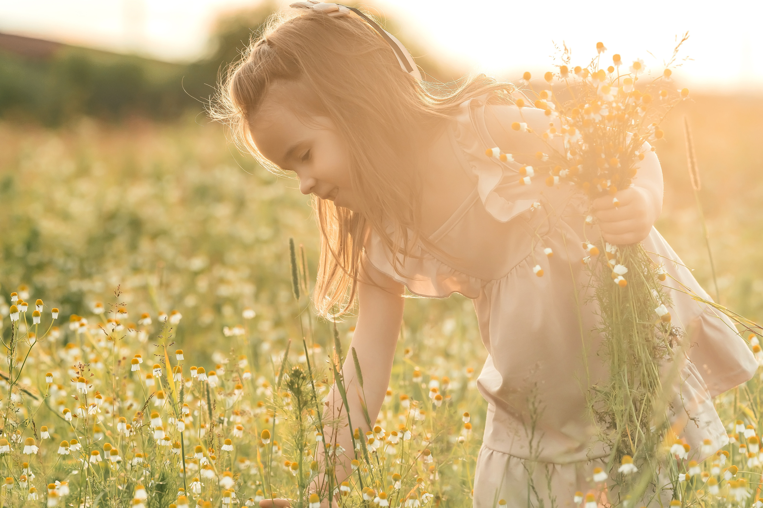 Ира, ромашковое поле, Фрязино. Свадебный и семейный фотограф Виктория Носачёва. Щелково, Москва и МО
