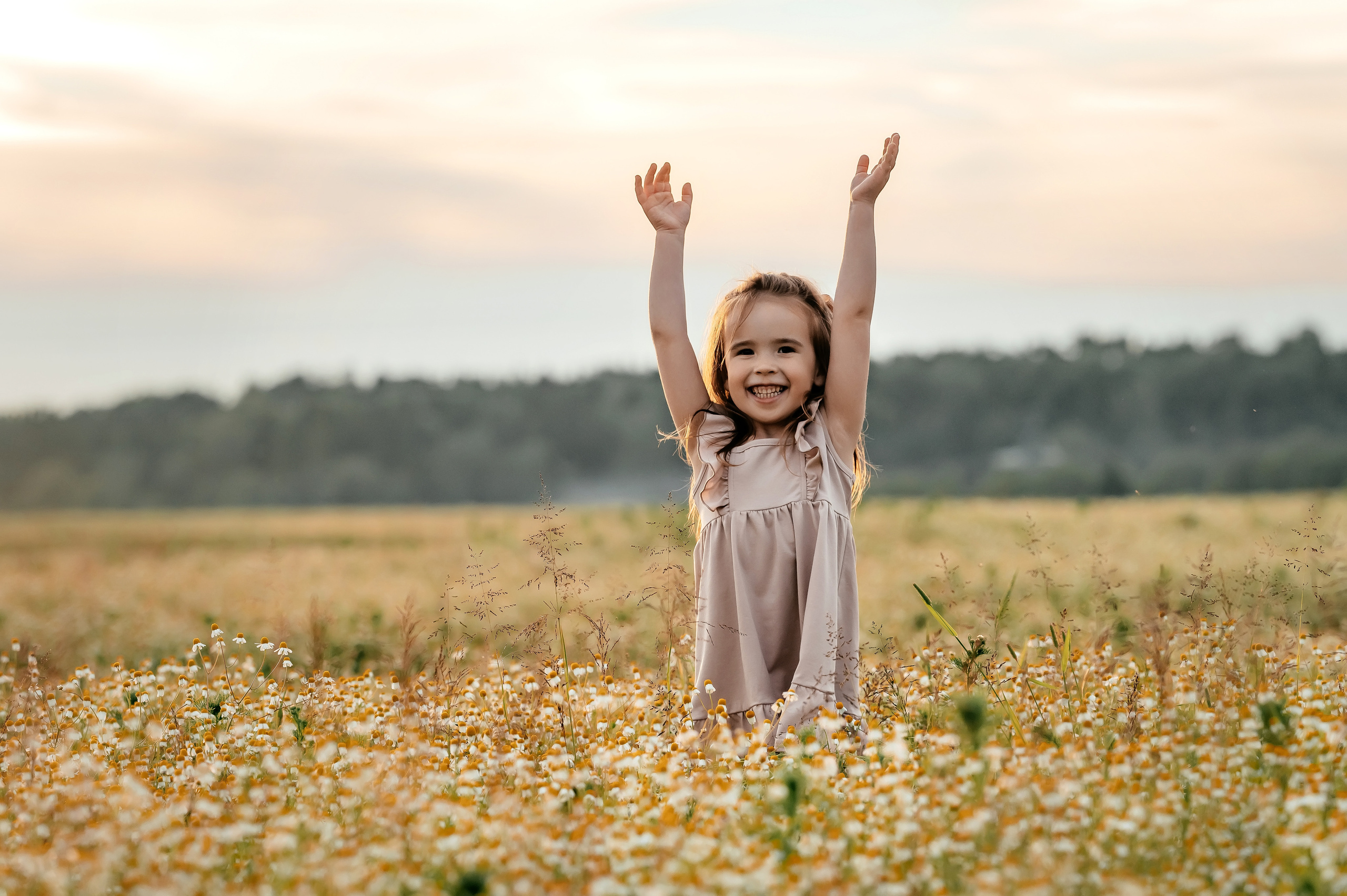 Ира, ромашковое поле, Фрязино. Свадебный и семейный фотограф Виктория Носачёва. Щелково, Москва и МО