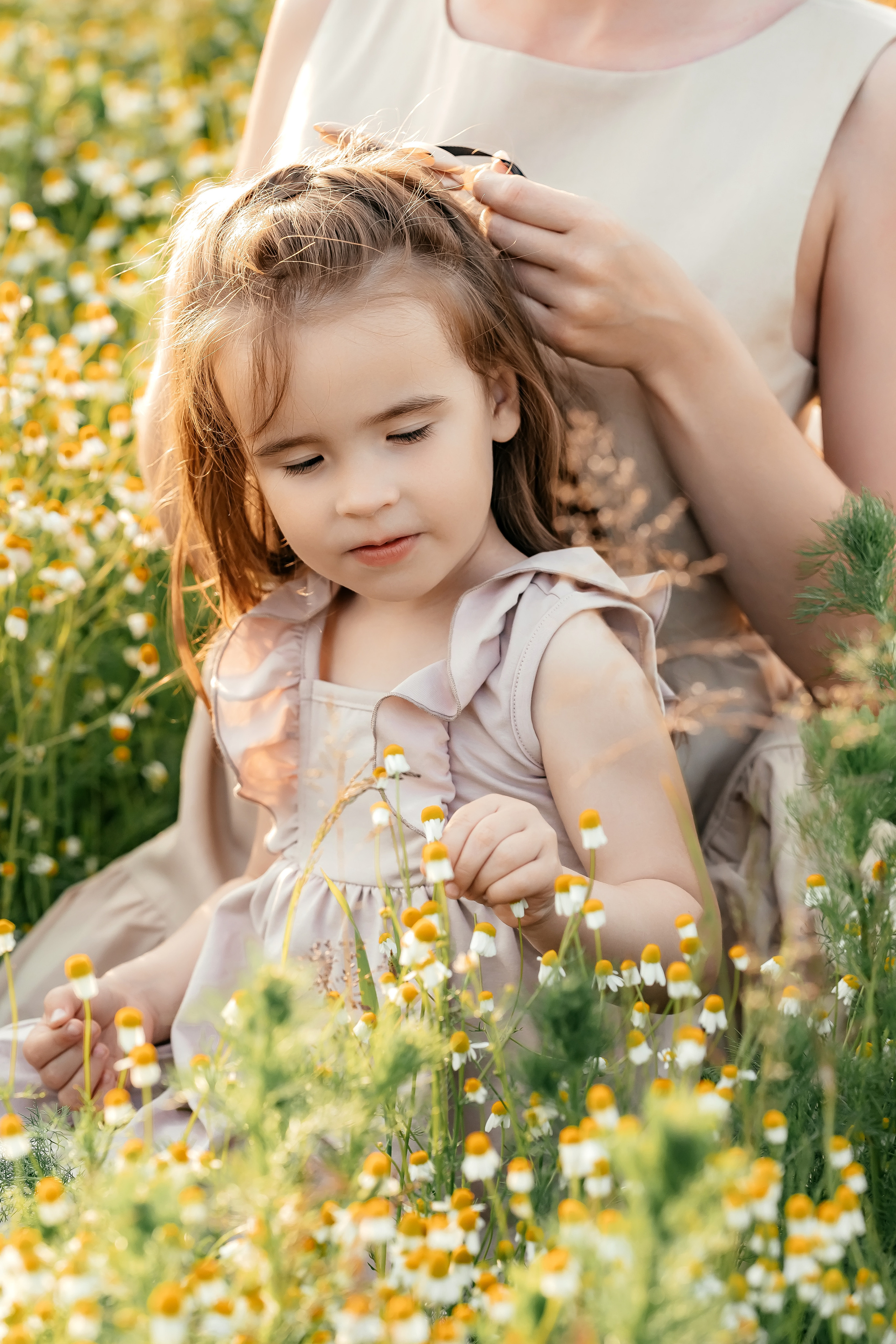 Ира, ромашковое поле, Фрязино. Свадебный и семейный фотограф Виктория Носачёва. Щелково, Москва и МО