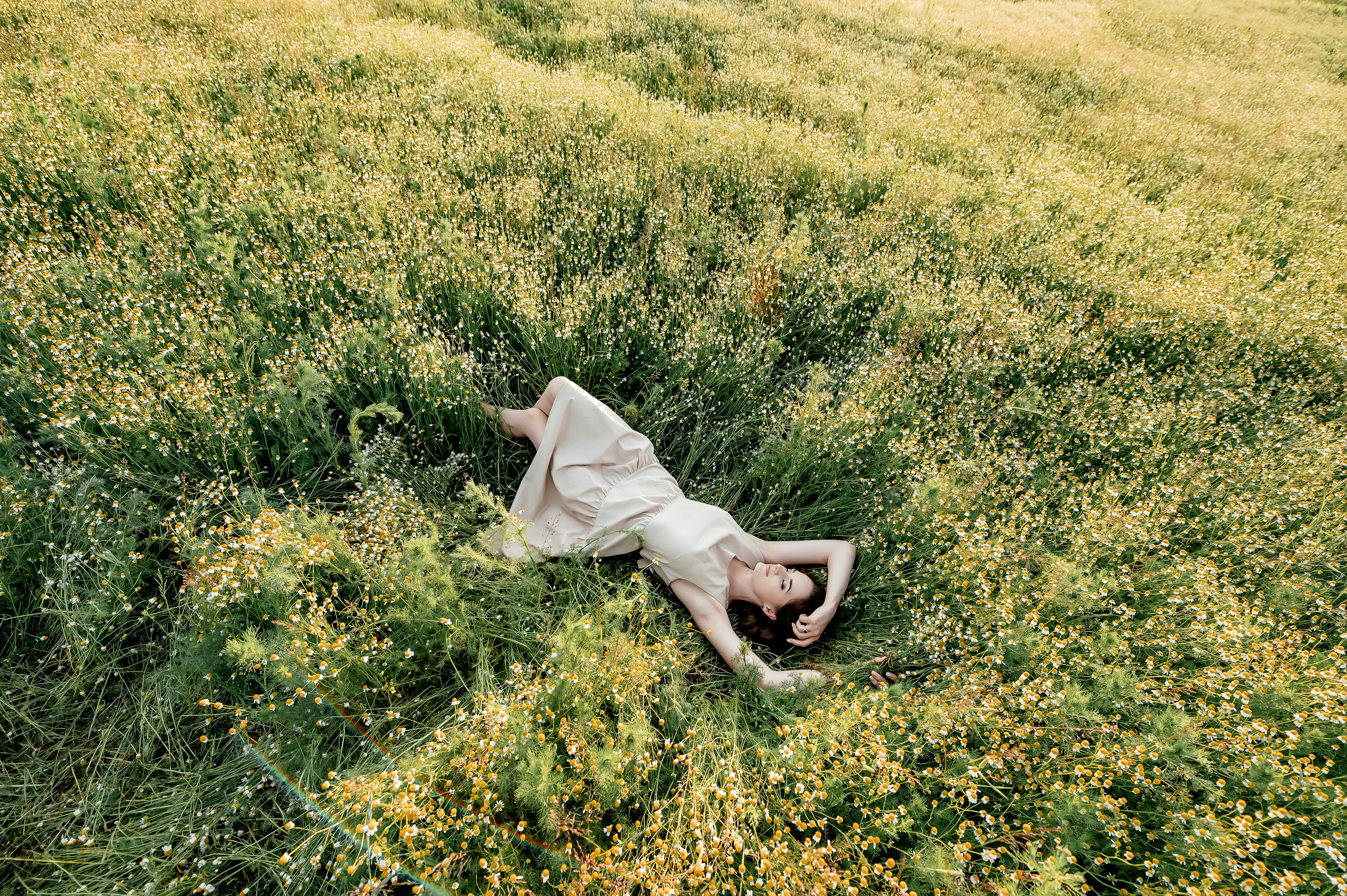 Ира, ромашковое поле, Фрязино. Свадебный и семейный фотограф Виктория Носачёва. Щелково, Москва и МО