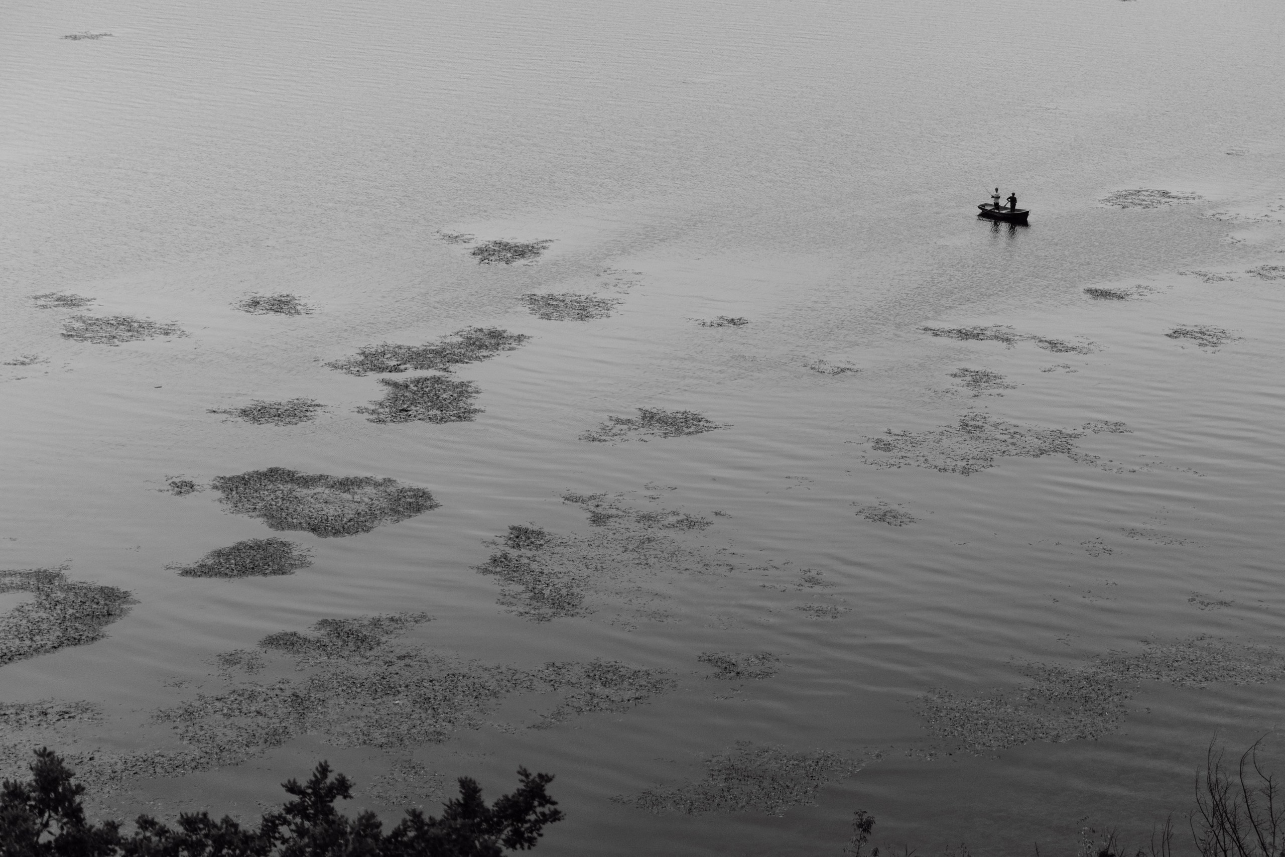 Неометрия. Свадебный и репортажный фотограф Новороссийск Краснодар Сочи Крым Данила Данилов