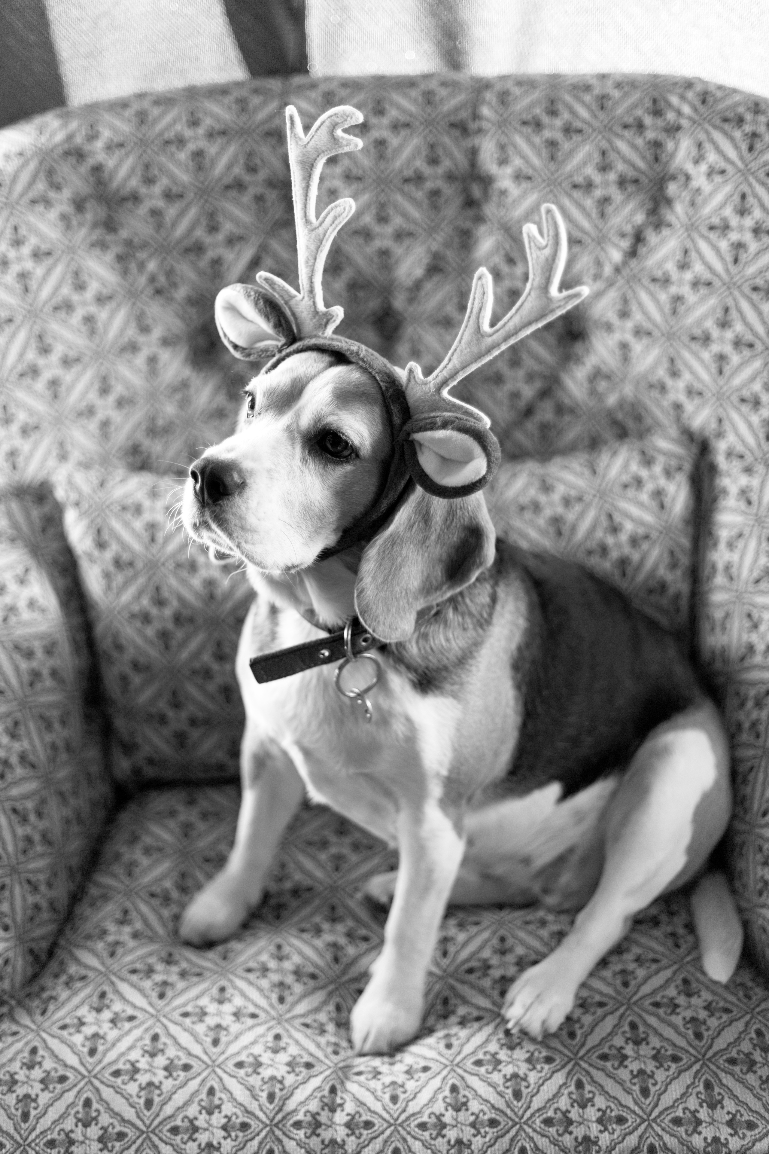 Лиза & Коля. Фотограф в Санкт-Петербурге