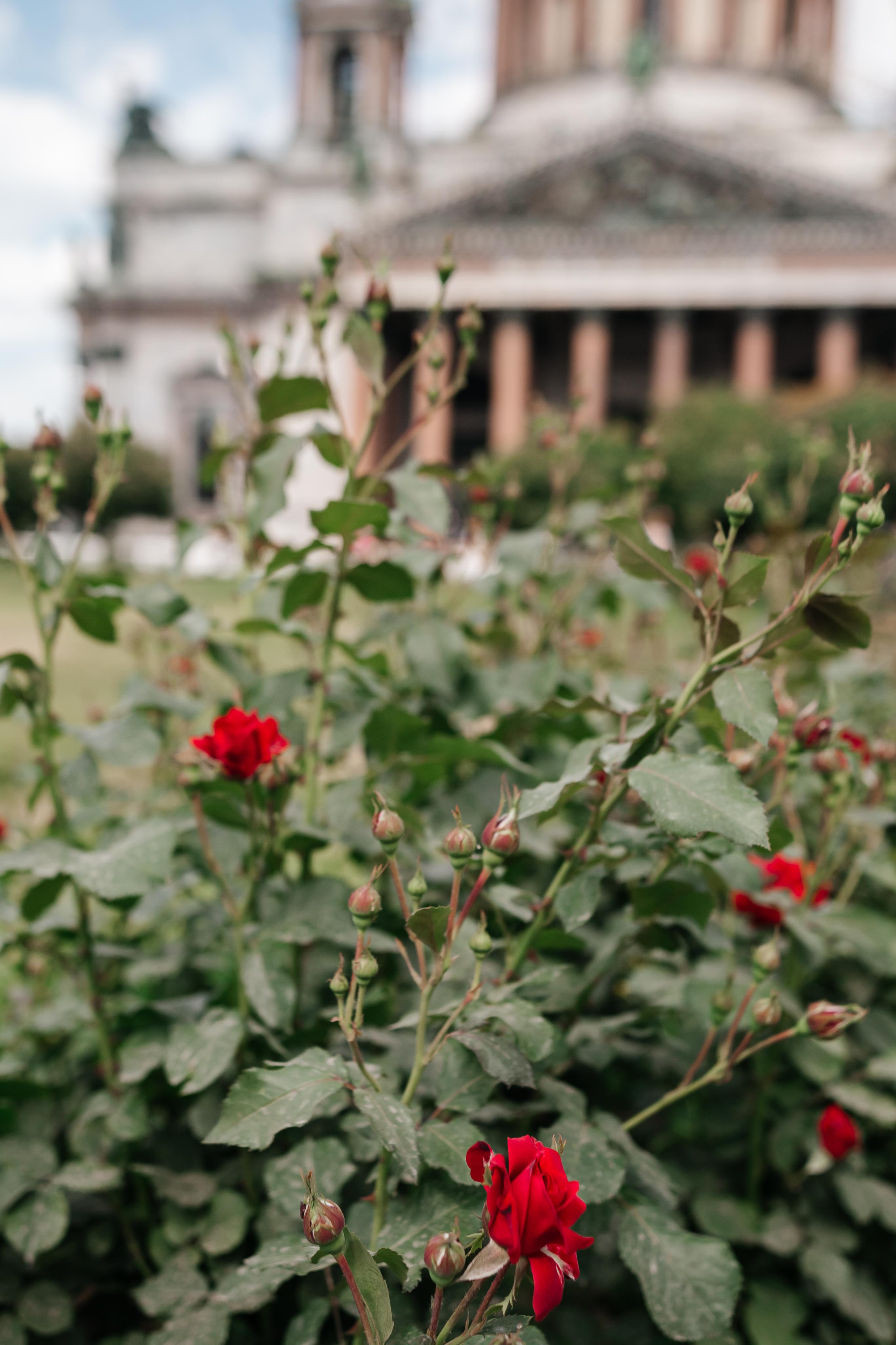 Татьяна & Виталий. Фотограф в Санкт-Петербурге