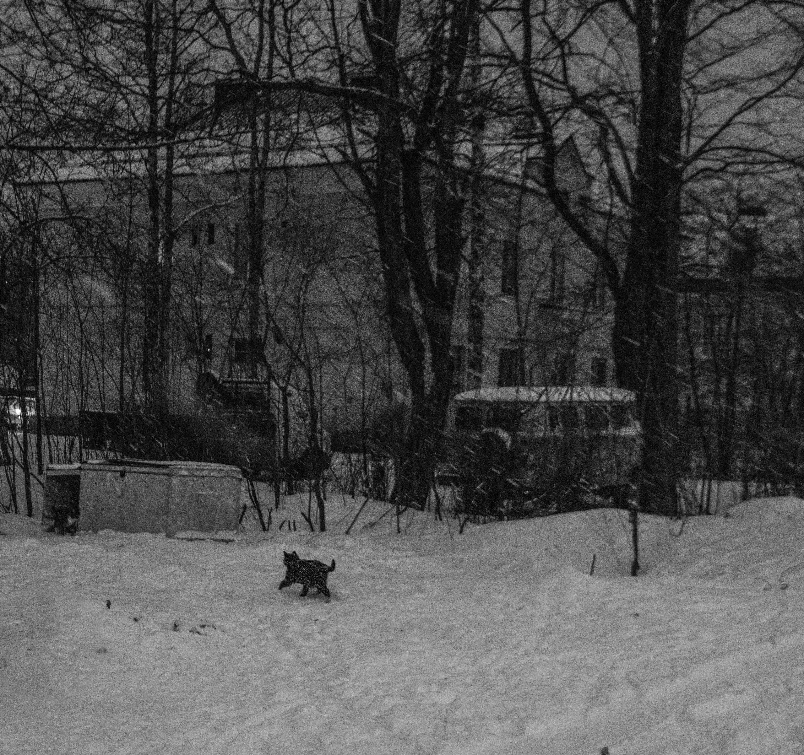 Работы вне серии. Эля Сеидова, фотохудожник