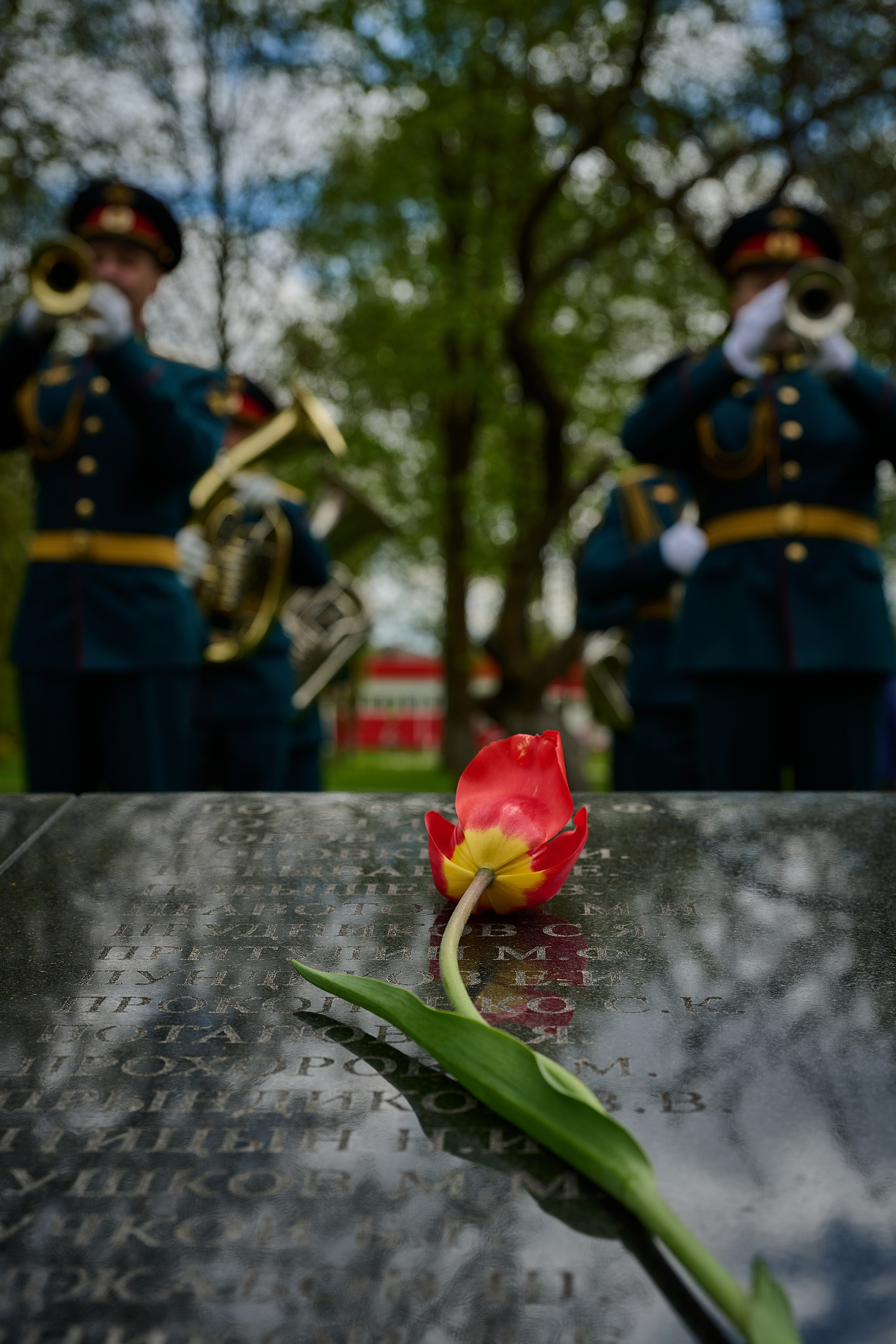 Памяти подвигу Кремлевских курсантов. Ярополец. Фотограф Роман Адлер