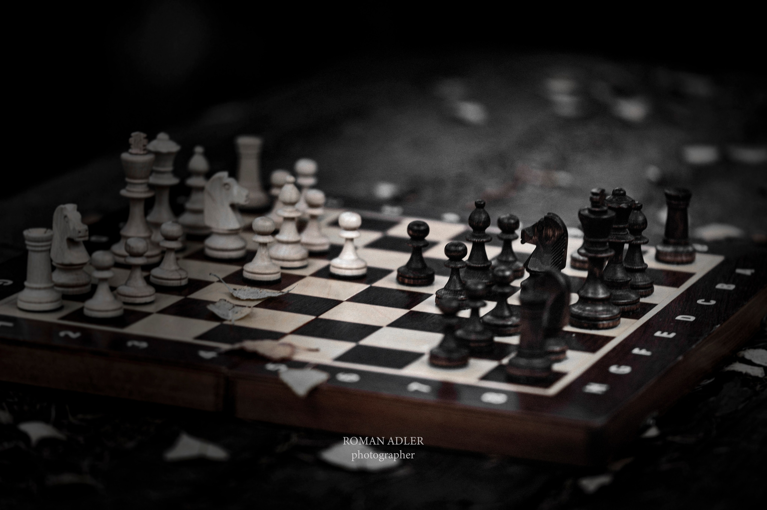 Серия «Последняя партия». Фотограф Роман Адлер