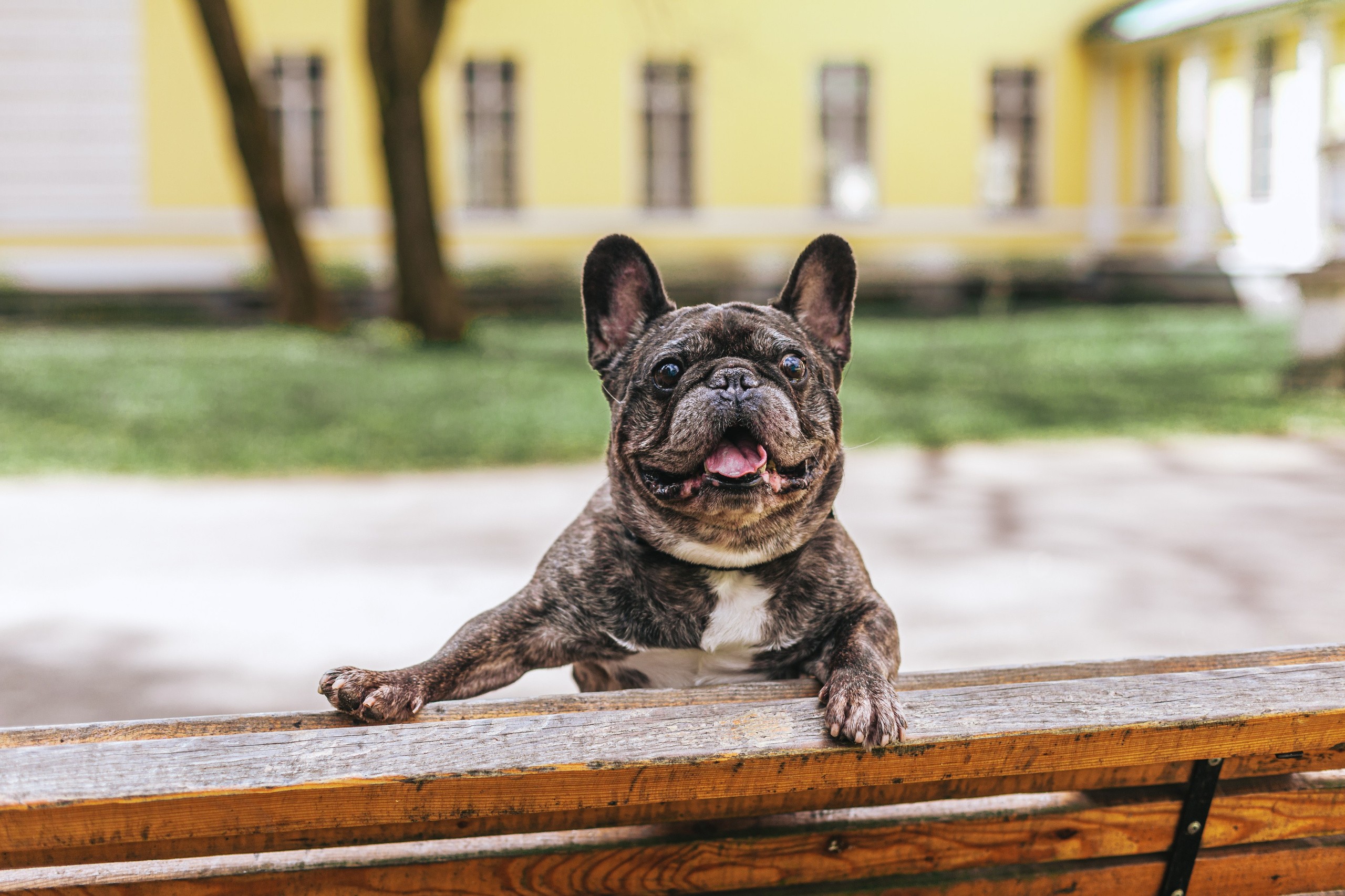 Фотограф-анималист Татьяна Степанова