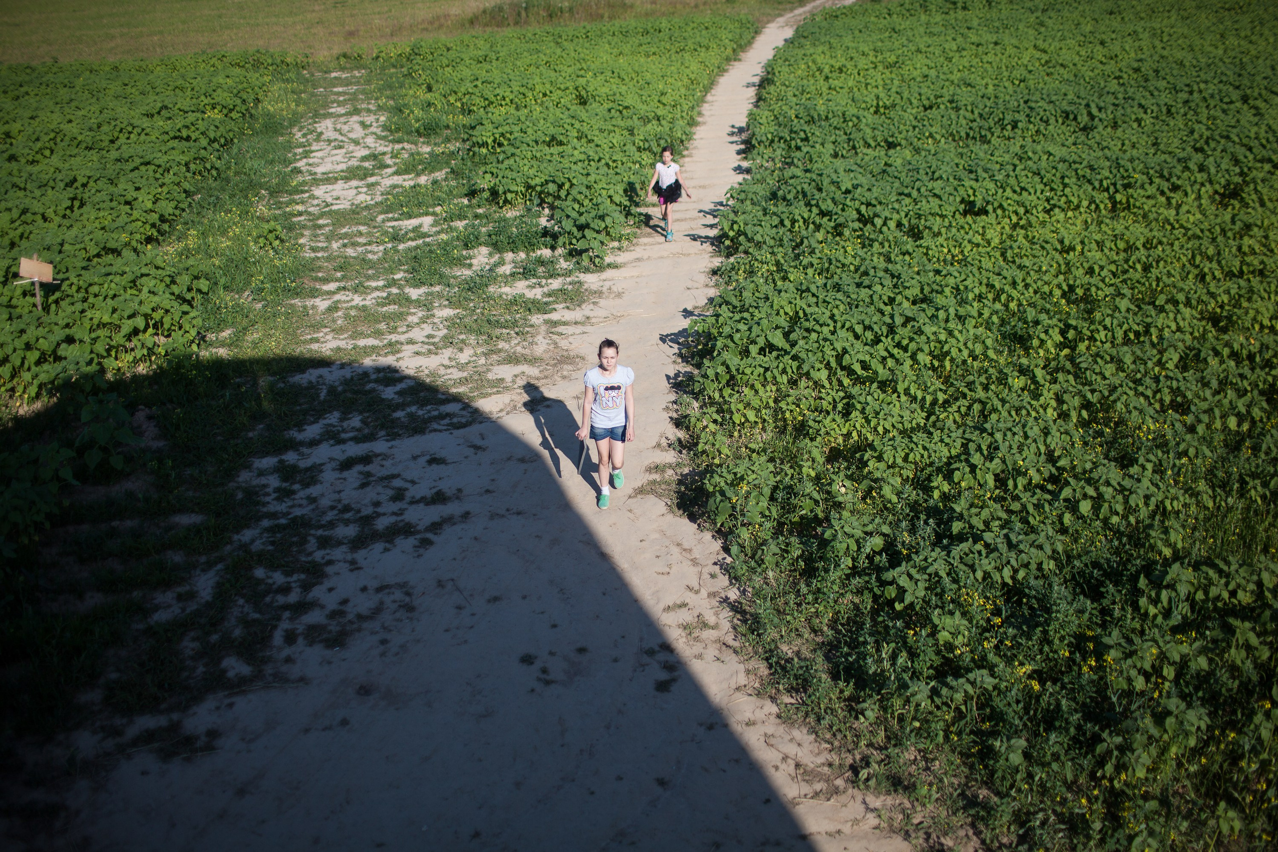 Детский лагерь Никола-Ленивец. Фотограф в Москве Валентина Иванова