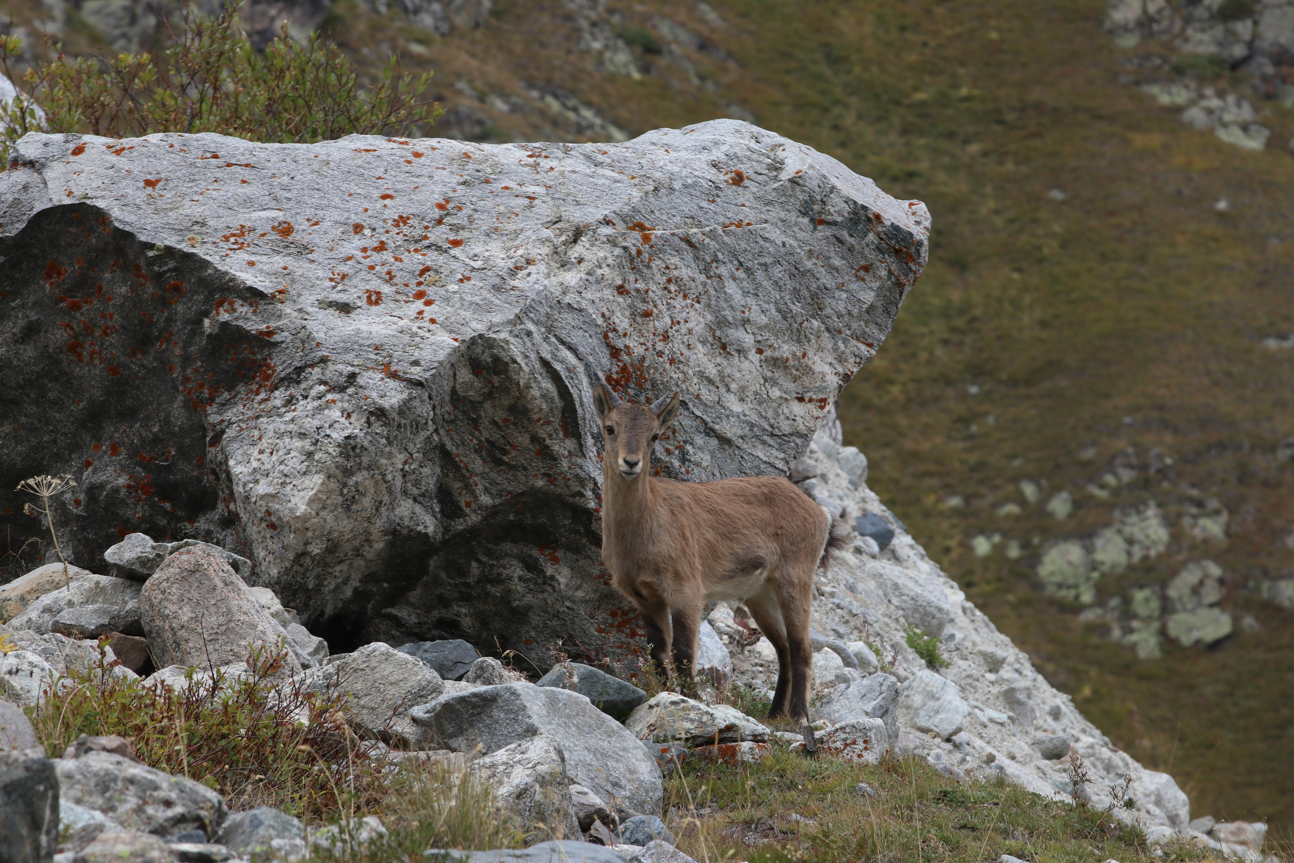 Приэльбрусье. Сентябрь 2023. Путешественник-фотограф из Санкт-Петербурга Татьяна Свистулина