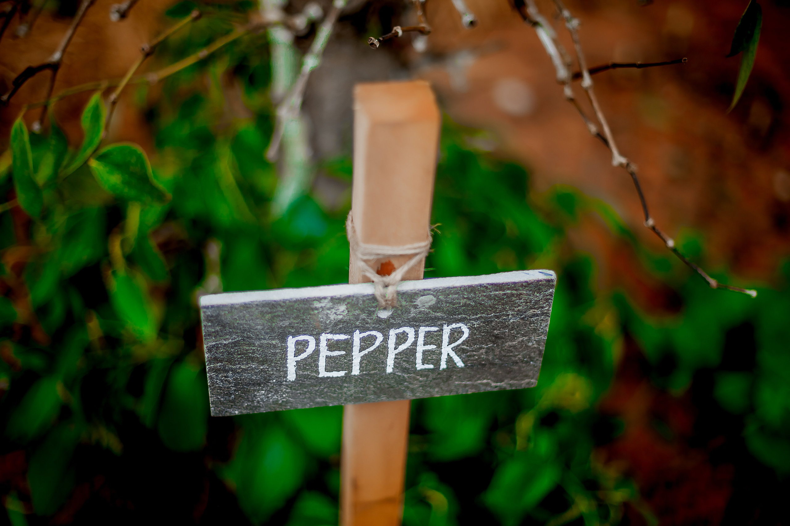 Репортажный фотограф Ялта. Репортажный фотограф Ялта