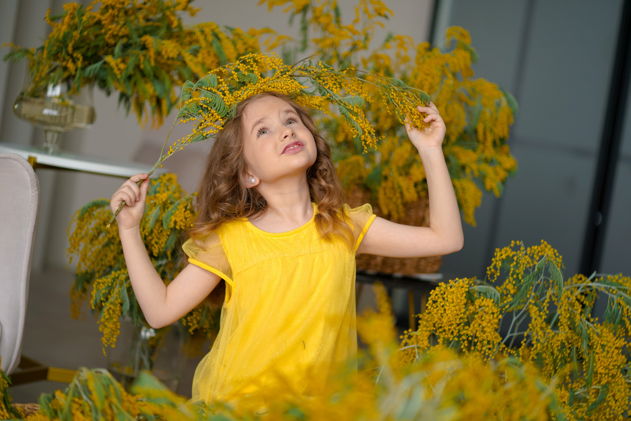 Мимоза. Фотограф Татьяна Митрофанова